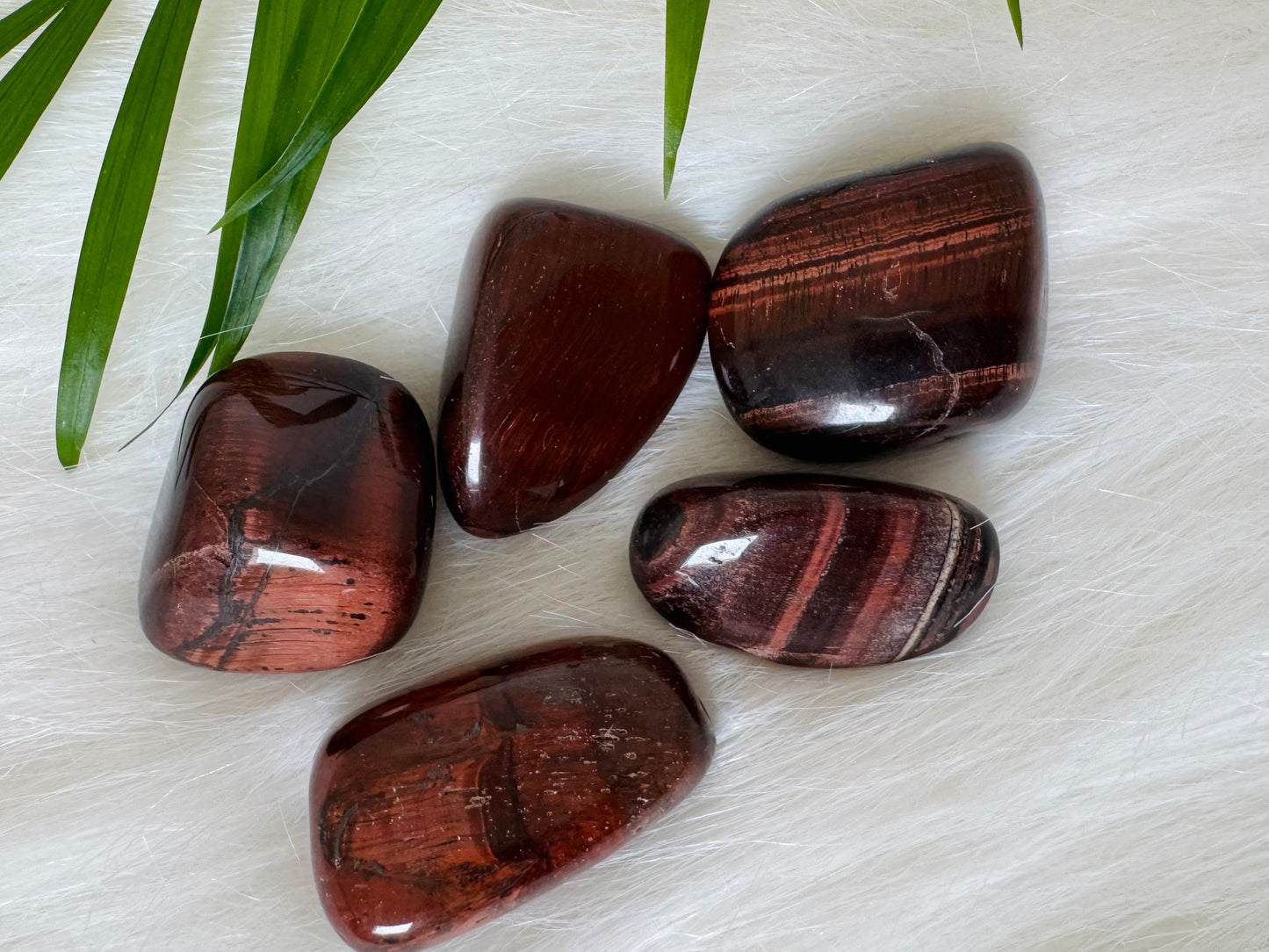 Red Tigers Eye Tumbled - Moon Room Shop and Wellness