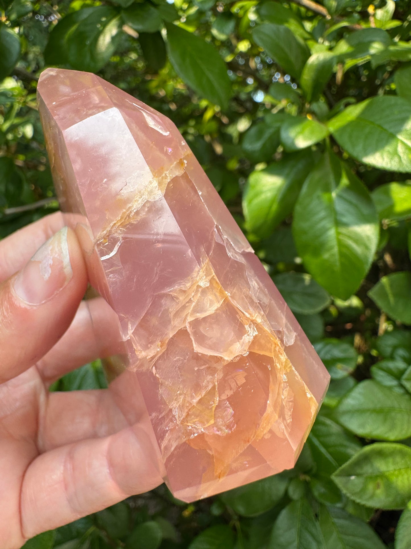 Guava Rose Quartz Tower w Golden Healer - Gorgeous! 242 g - Brazil - Moon Room Shop and Wellness