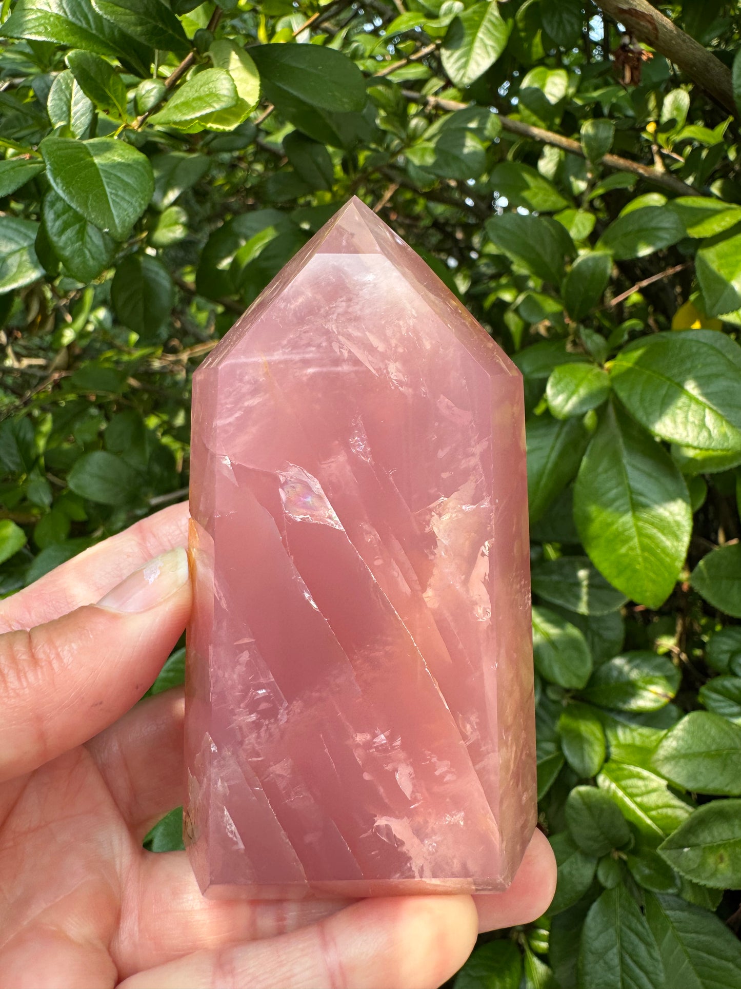 Guava Rose Quartz Tower w Golden Healer - Gorgeous! 304 g - Brazil - Moon Room Shop and Wellness