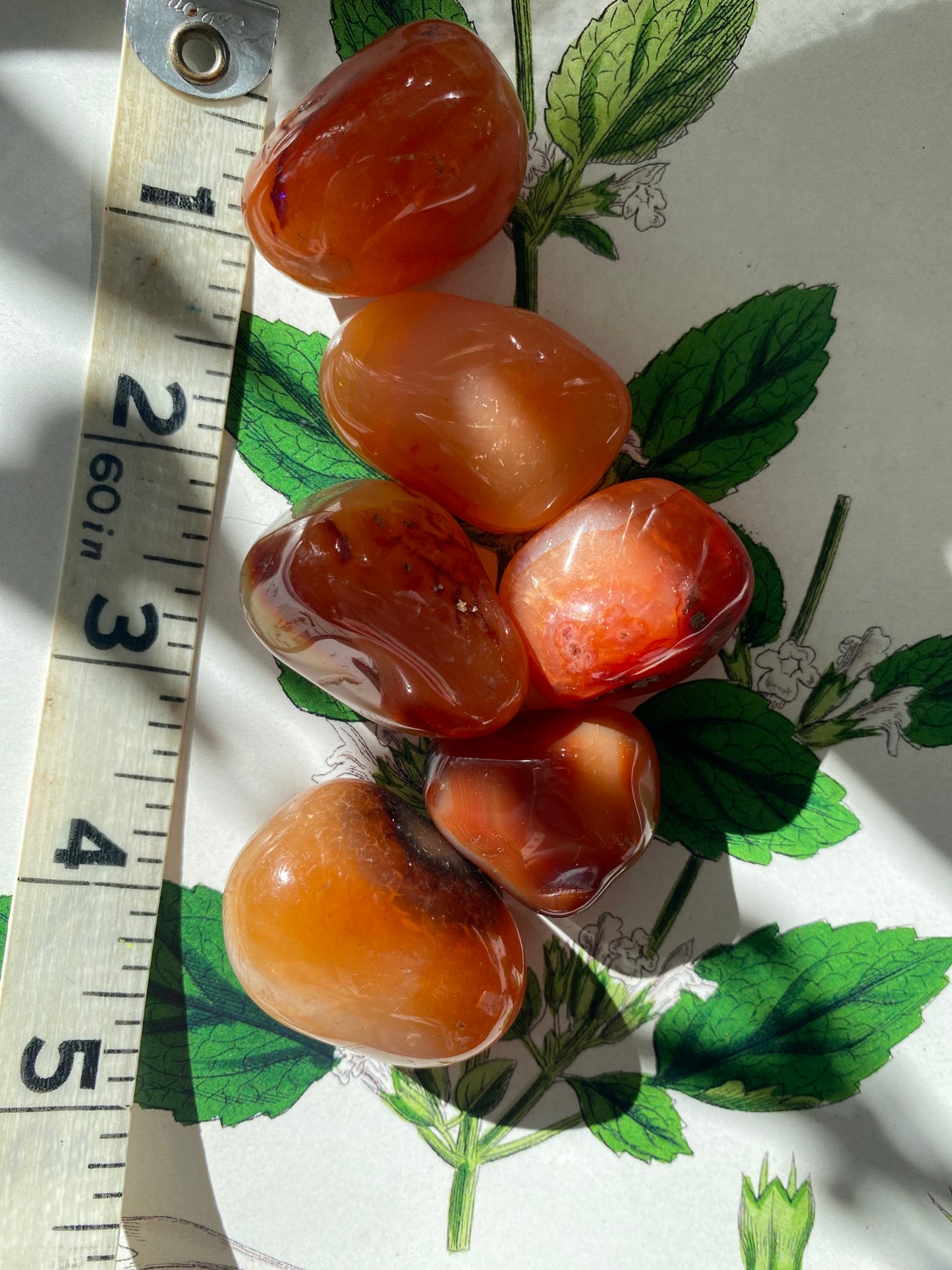 Carnelian Tumbled - Moon Room Shop and Wellness