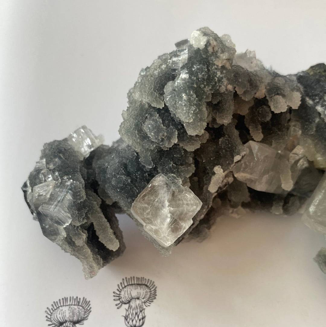 Druzy Chalcedony Stalactite with apophyllite and stilbite 206 g - Moon Room Shop and Wellness