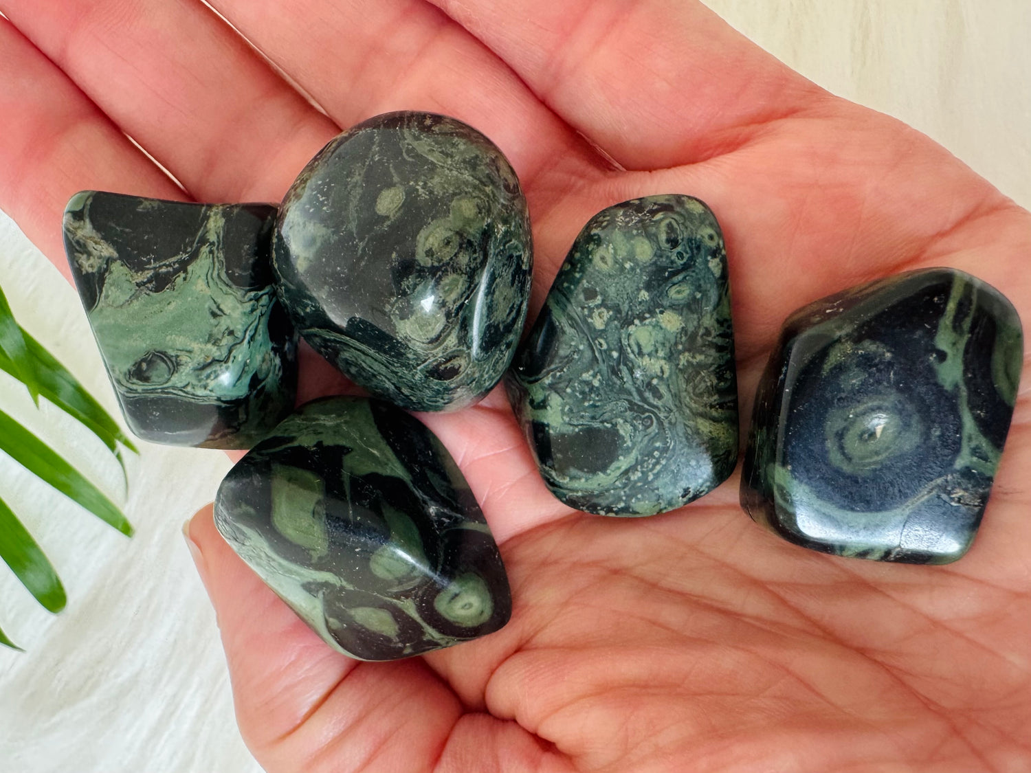 Kambaba Jasper Tumbled Madagascar - Moon Room Shop and Wellness