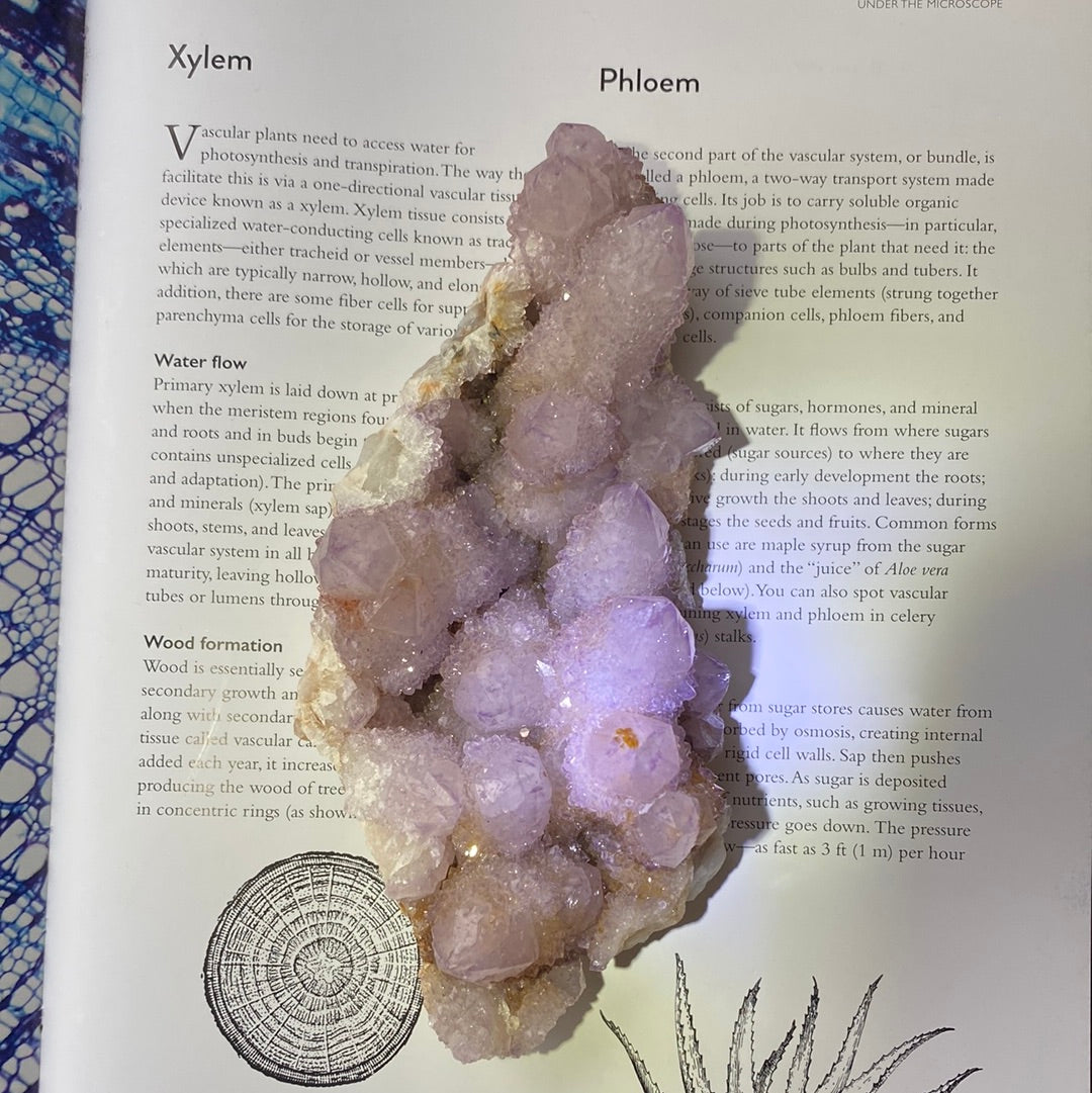 Deals Amethyst Spirit Quartz Crystal Cluster, South Africa