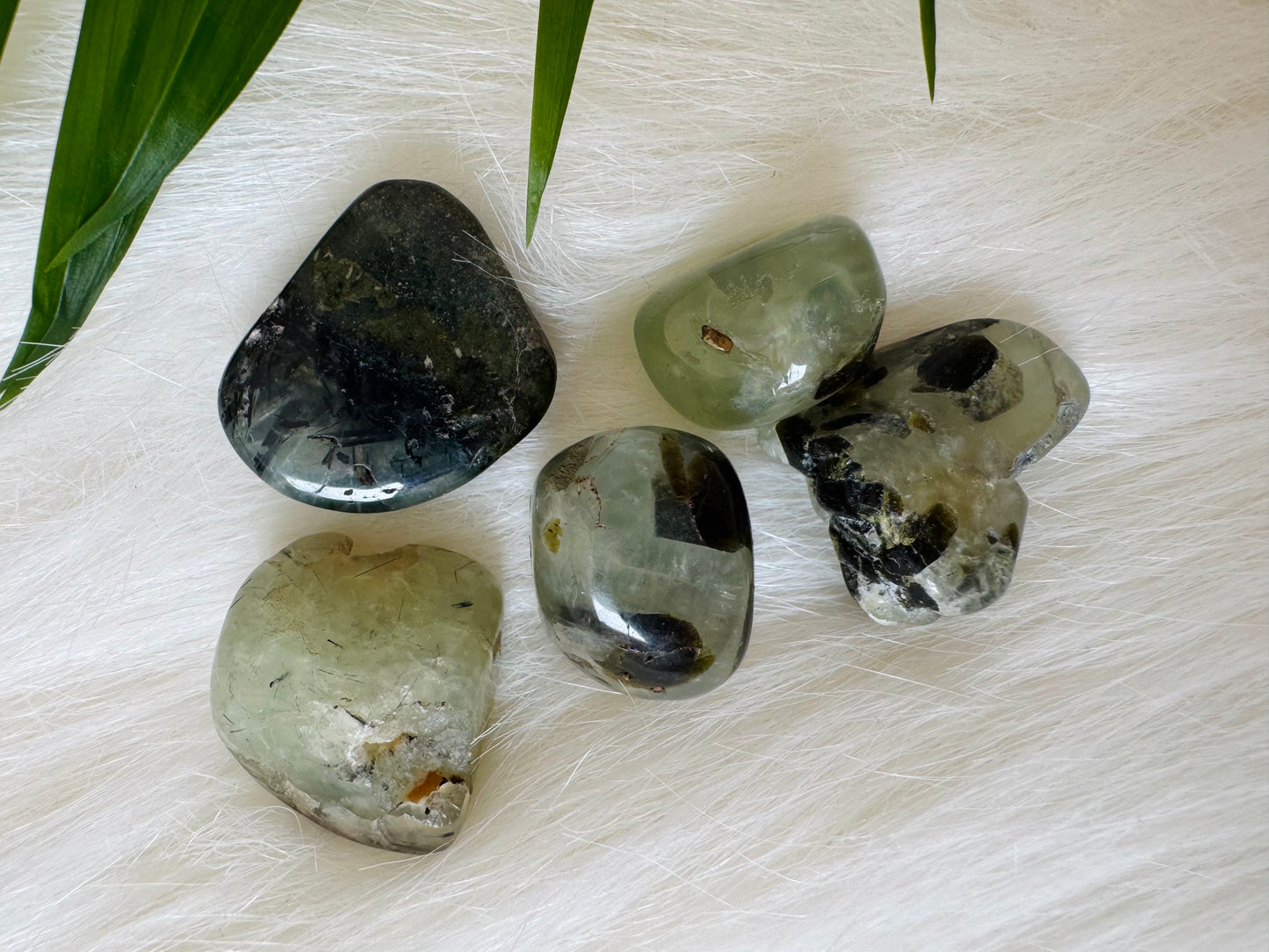 Prehnite with Rutile Tumbled - Moon Room Shop and Wellness