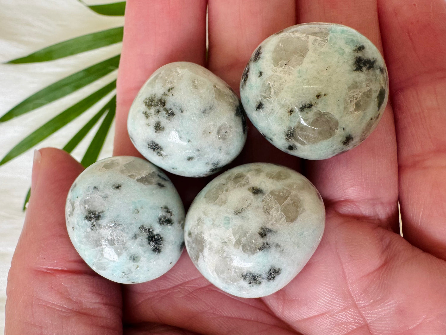 Kiwi Jasper Tumbled - Moon Room Shop and Wellness