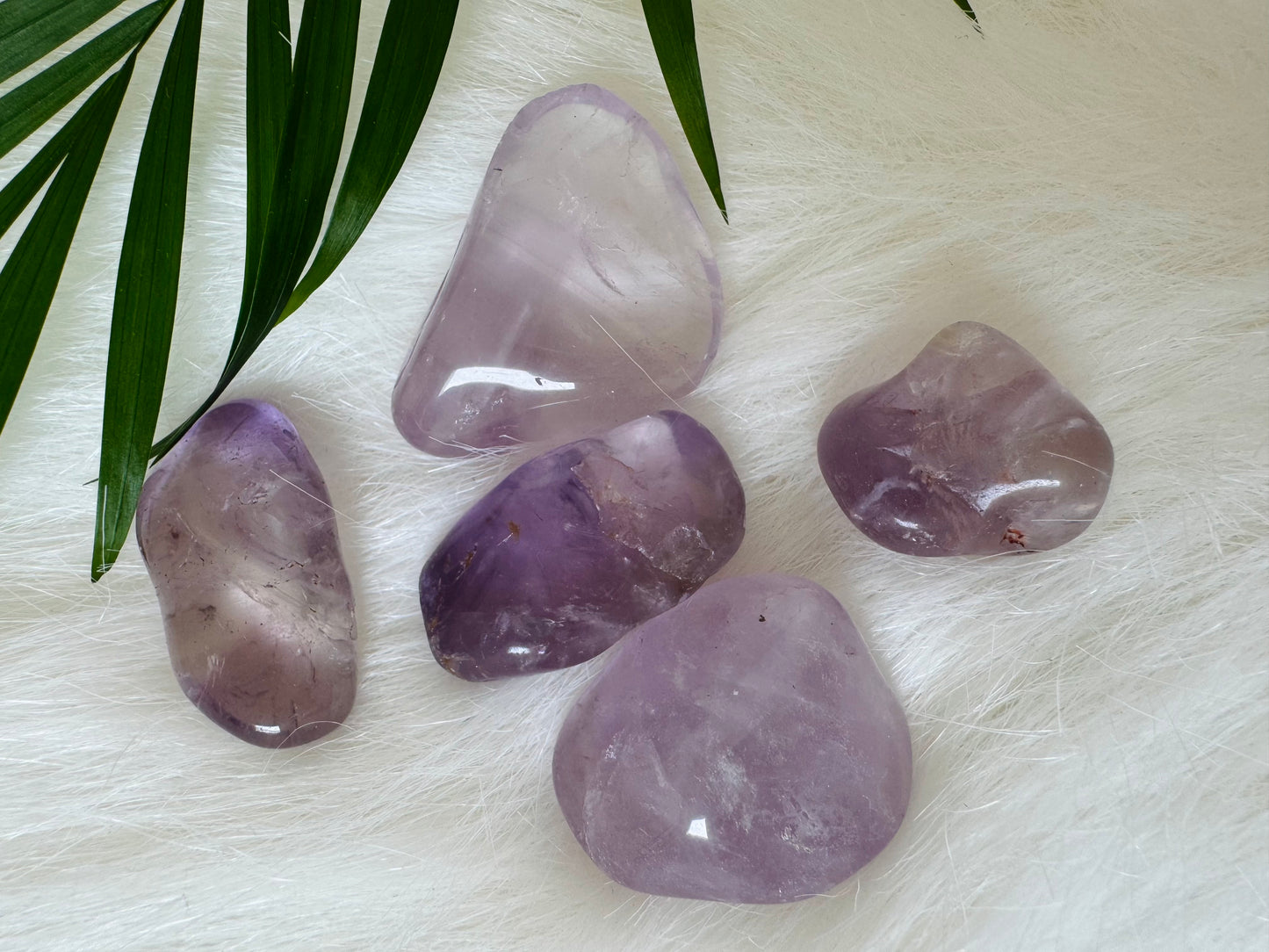 Amethyst Tumbled - Moon Room Shop and Wellness