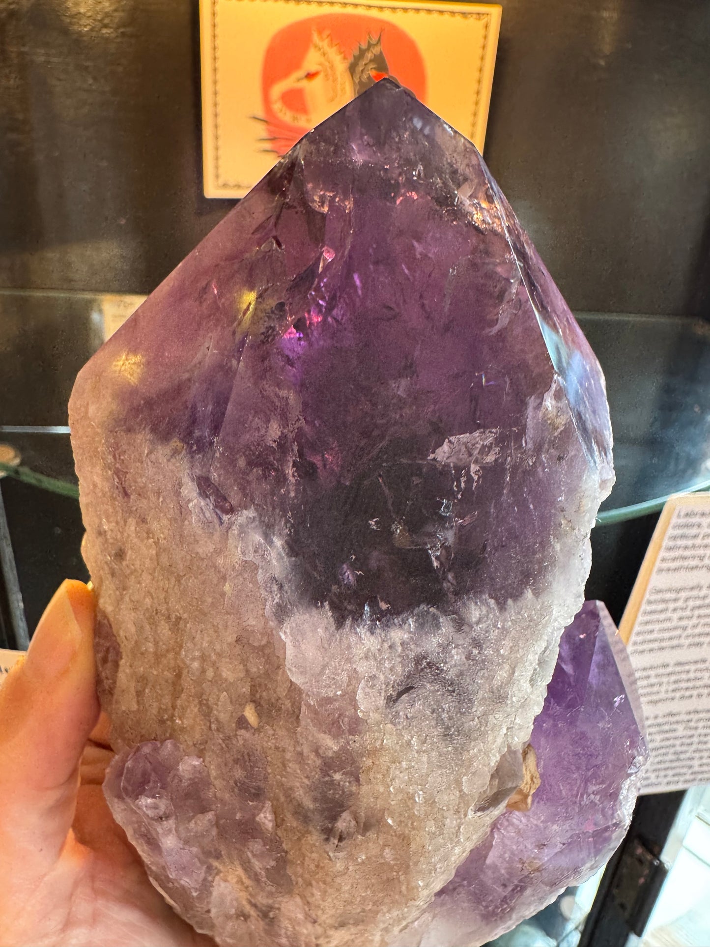 Amethyst Double Point Spear Dragons Tooth Spear 2.75 lb - Moon Room Shop and Wellness