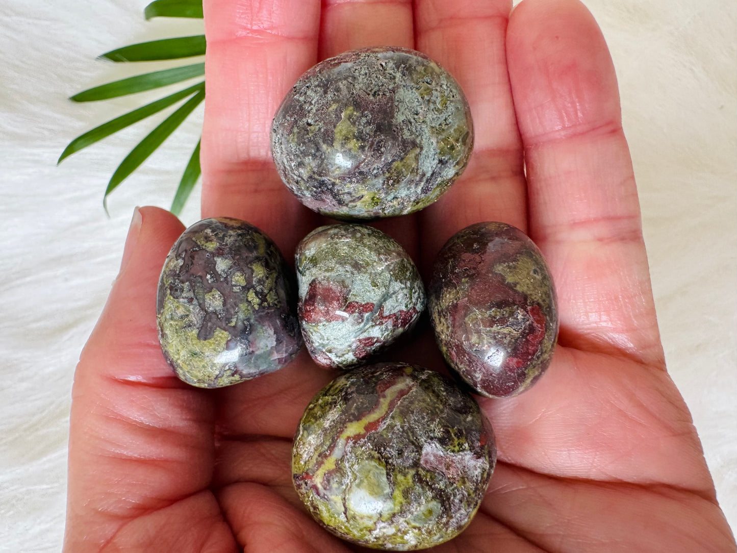 Dragon Bloodstone Tumbled - Moon Room Shop and Wellness