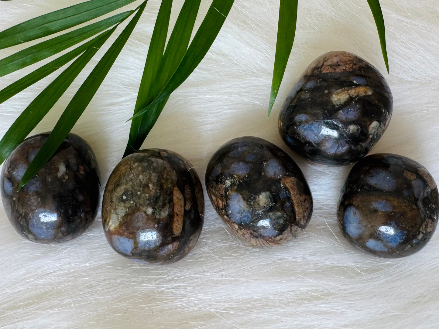 Llanite Tumbled - Moon Room Shop and Wellness