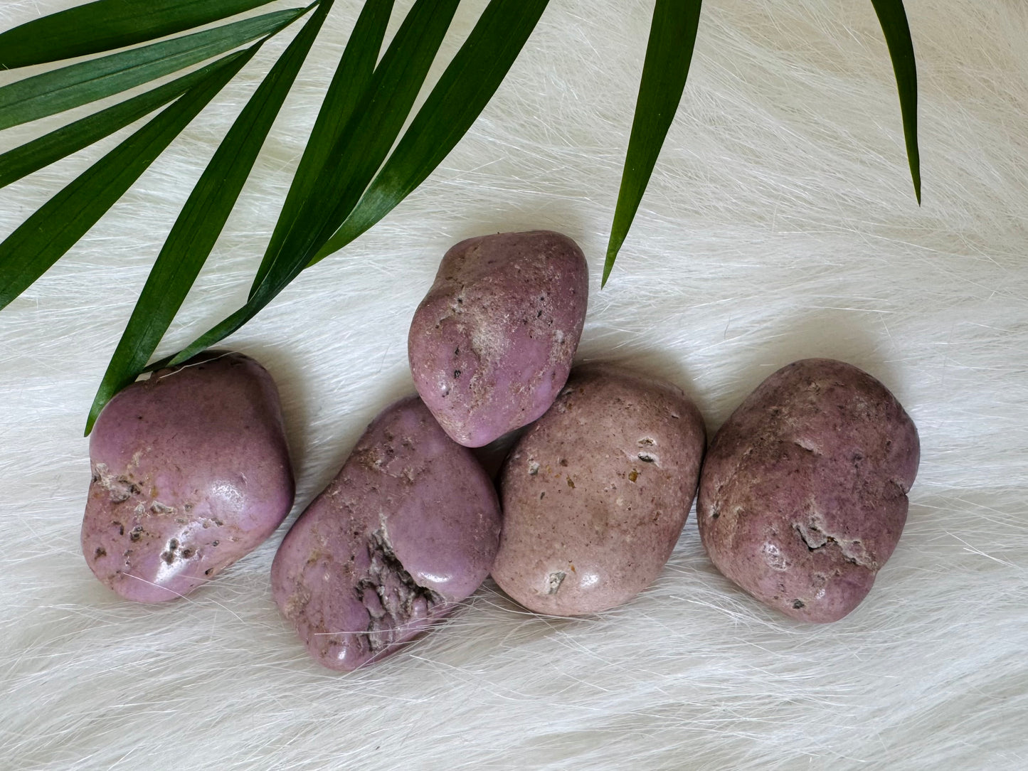 Phosphosiderite Tumbled - Moon Room Shop and Wellness