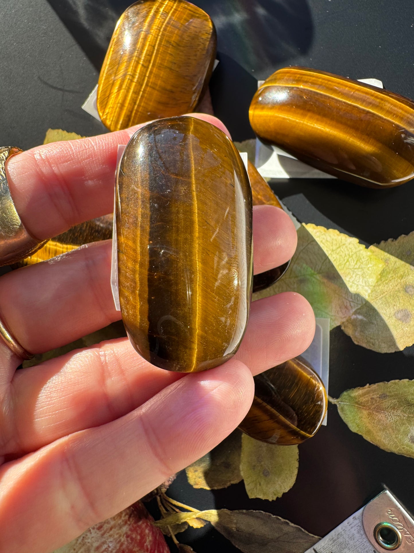 Tiger's Eye Palm Stone 40-50 g - Moon Room Shop and Wellness
