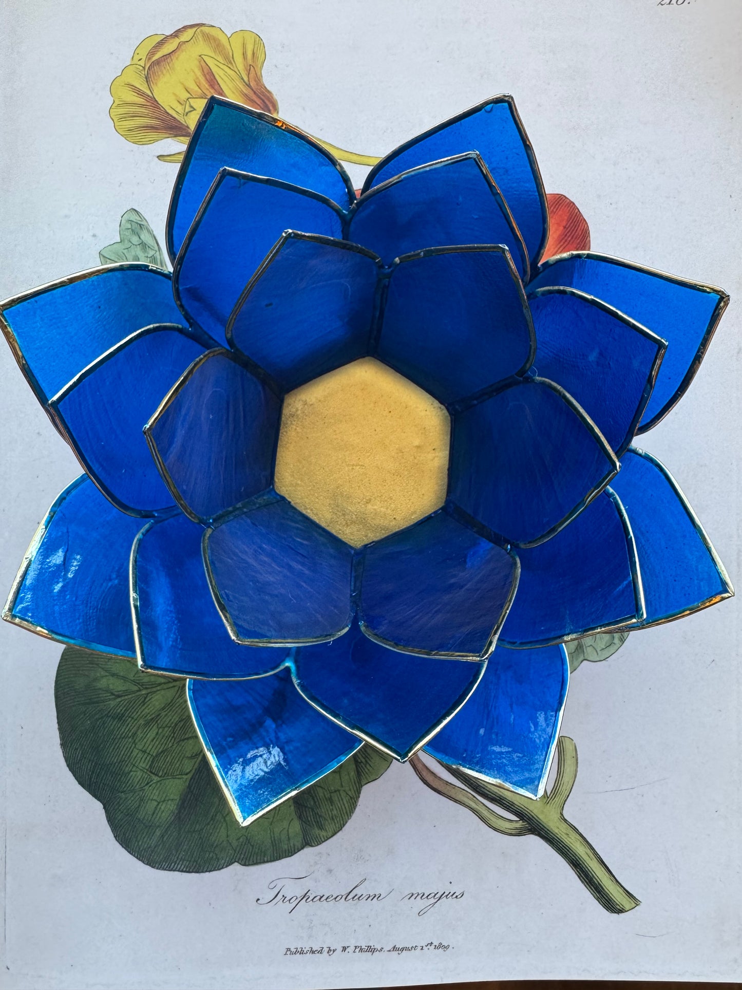 Gemstone Lotus Capiz- Sapphire - Moon Room Shop and Wellness