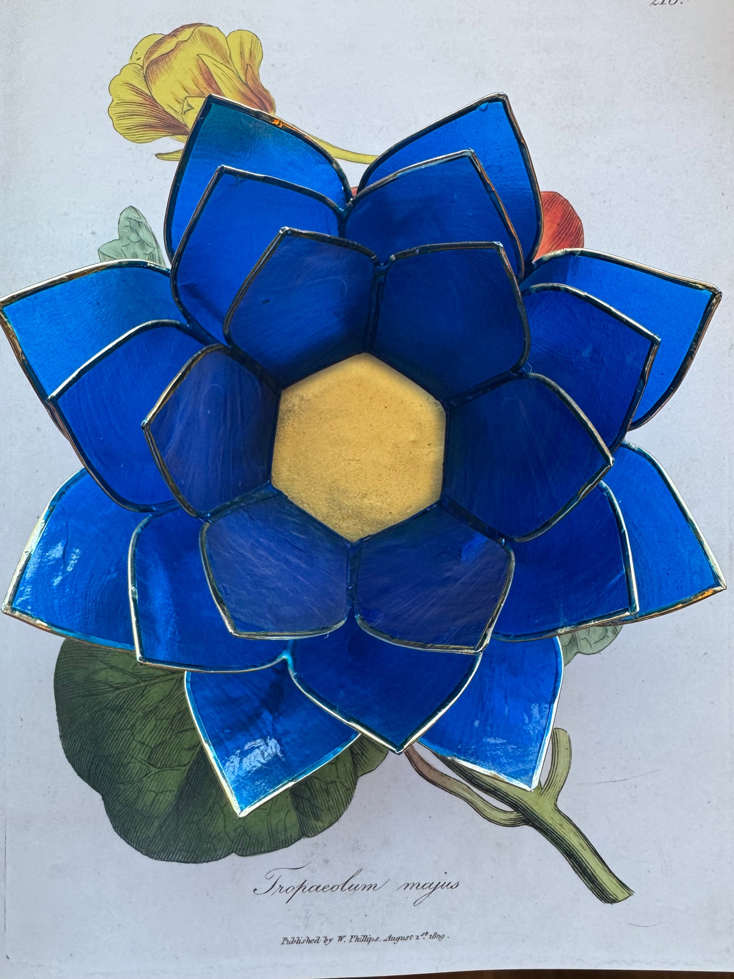 Gemstone Lotus Capiz- Sapphire - Moon Room Shop and Wellness