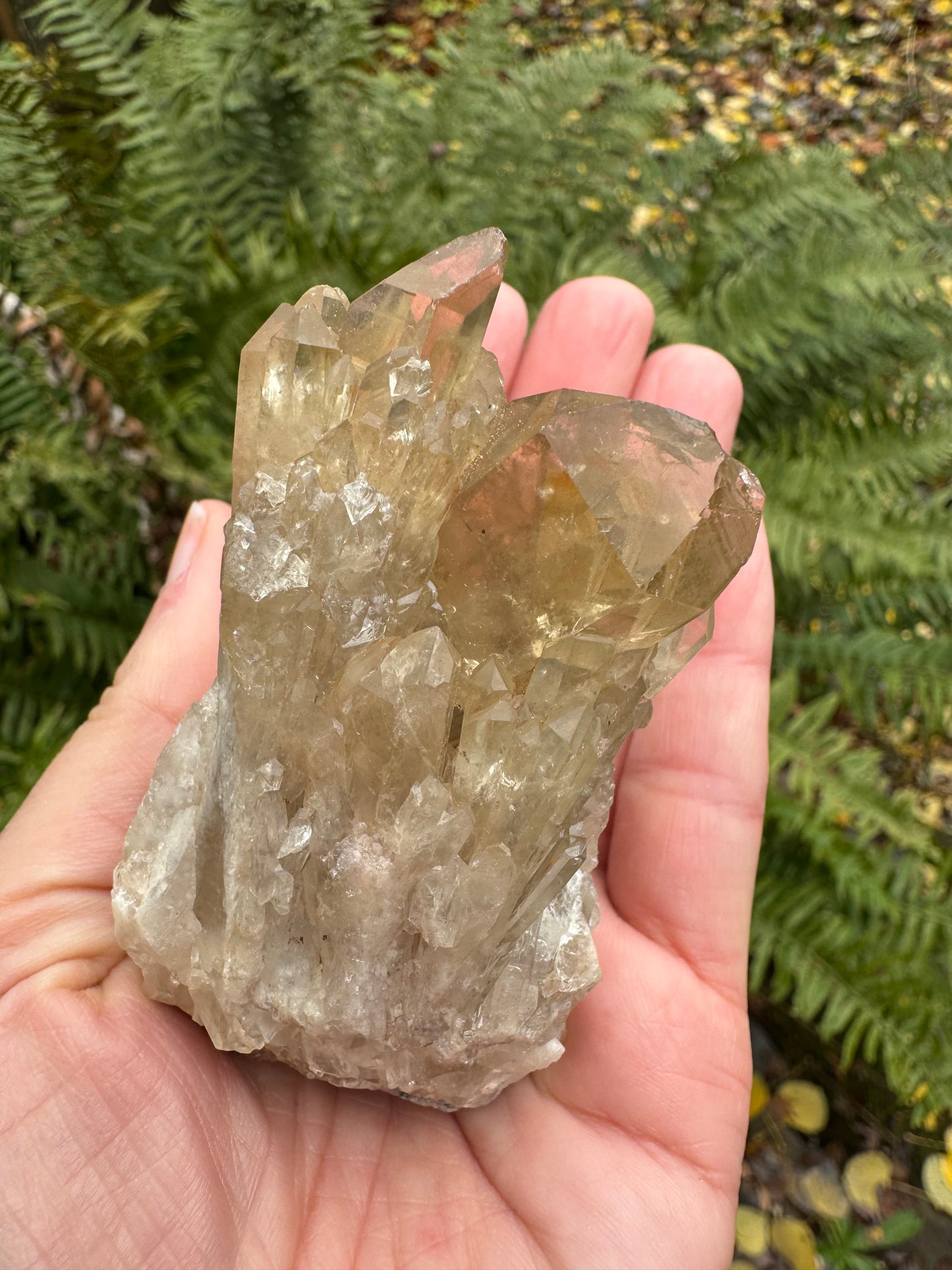 Kundalini Citrine 158 g - Moon Room Shop and Wellness