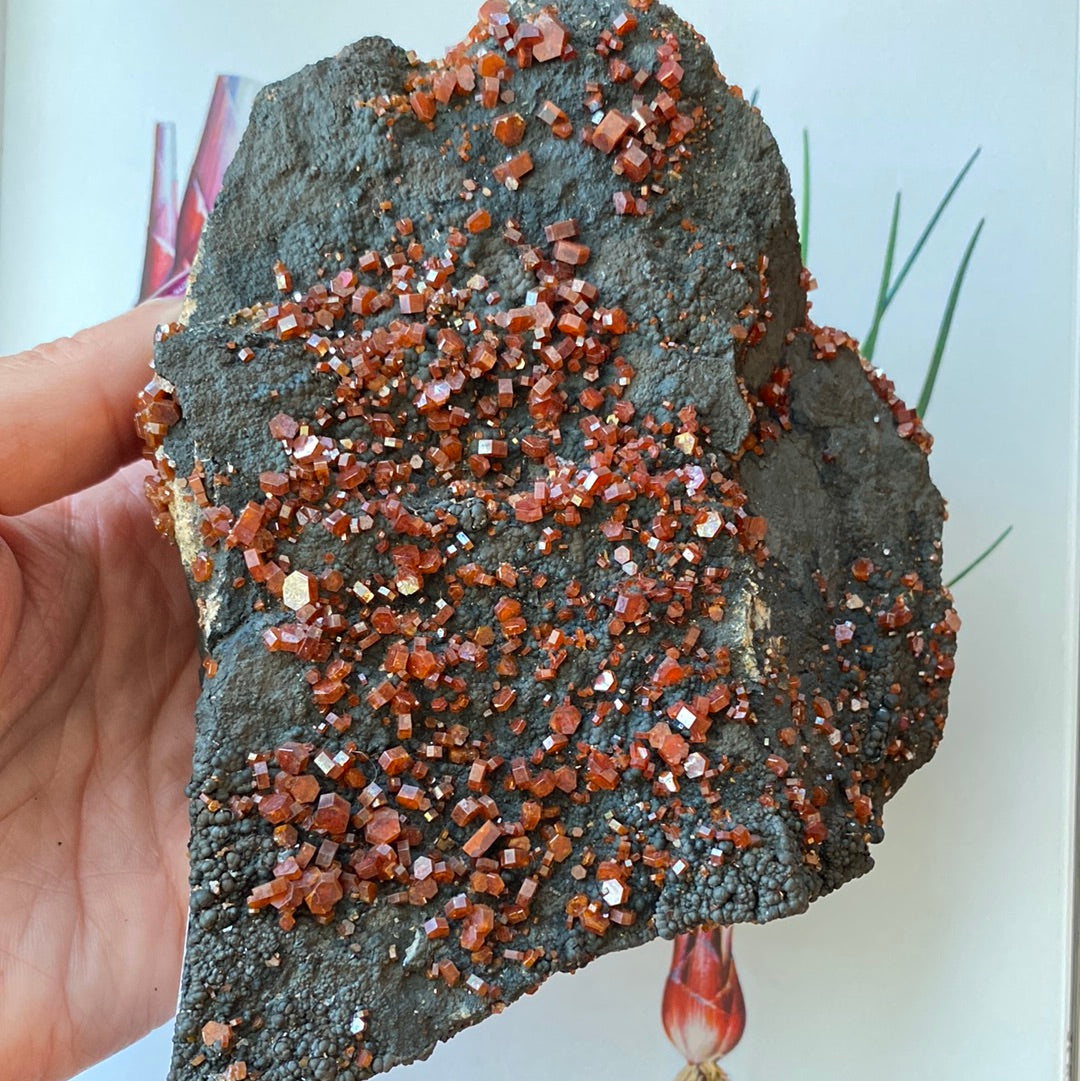 Vanadinite Specimen 1.75 lbs - Moon Room Shop and Wellness