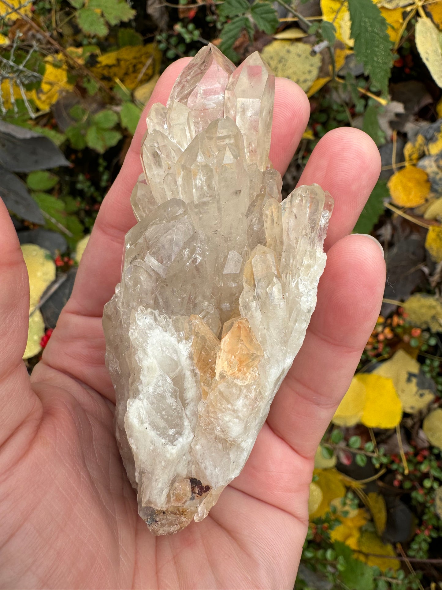 Kundalini Citrine 142 g Rainbows! - Moon Room Shop and Wellness