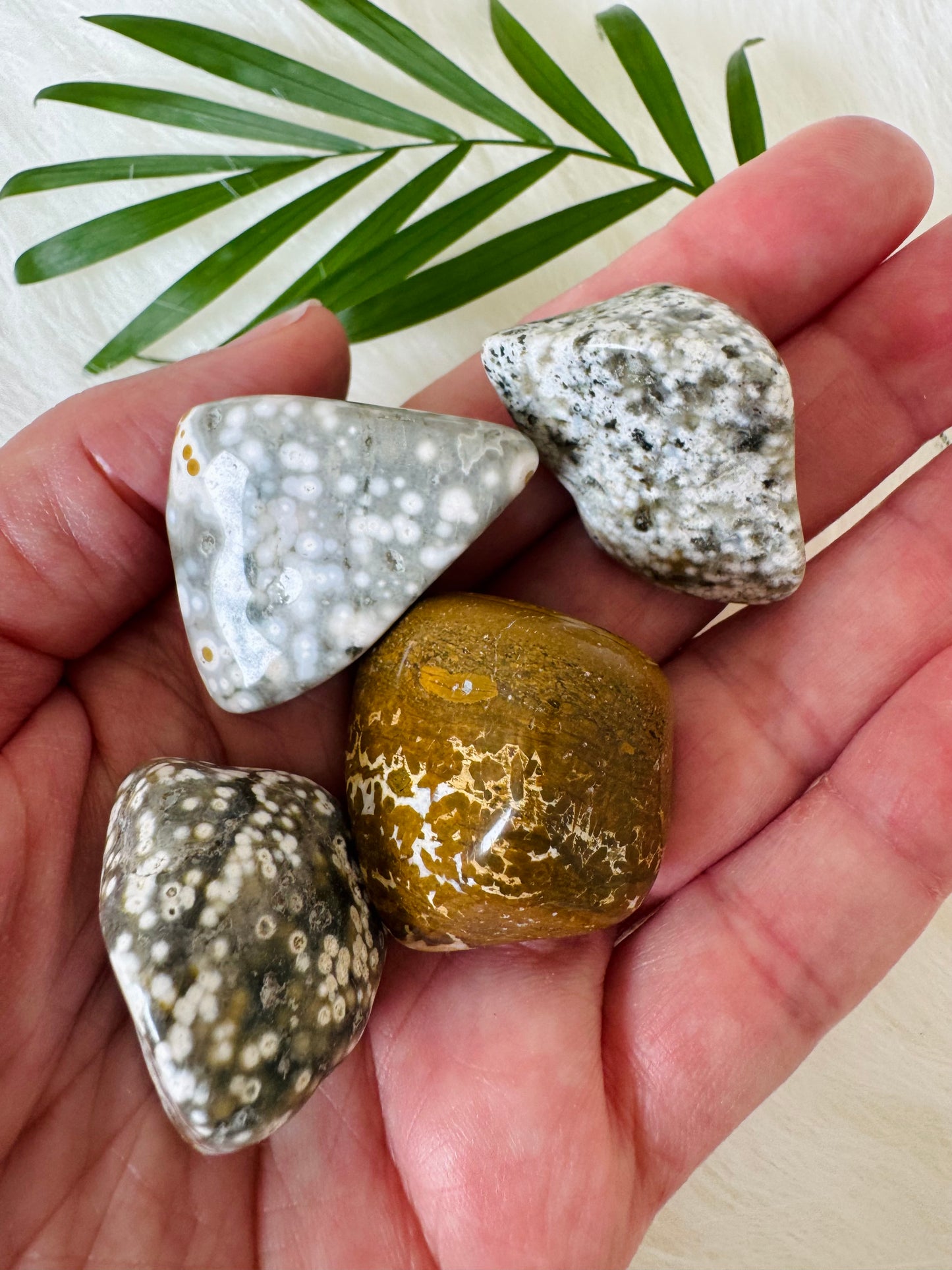 Ocean Jasper Tumbled - Moon Room Shop and Wellness