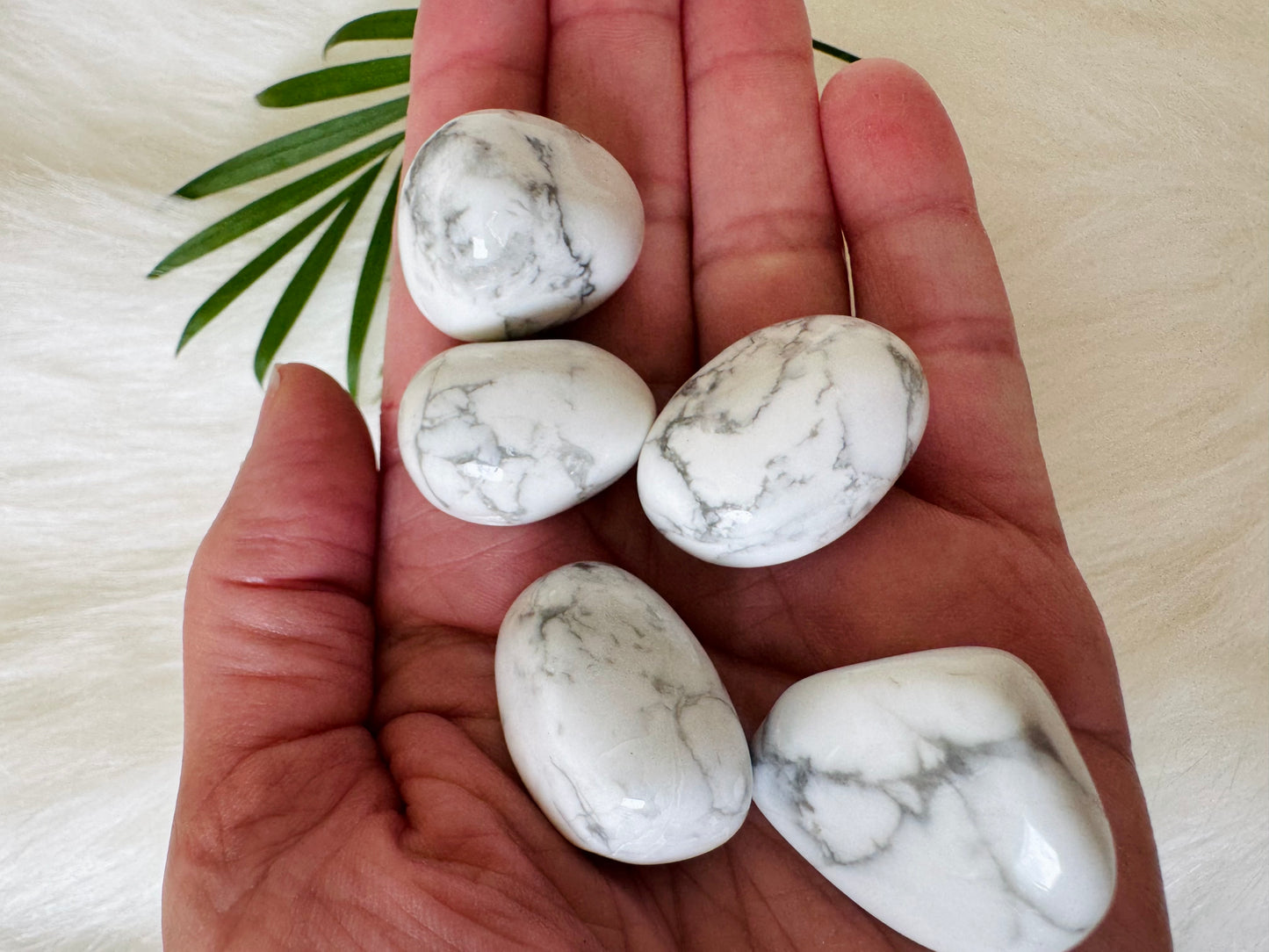 Howlite Tumbled - Moon Room Shop and Wellness