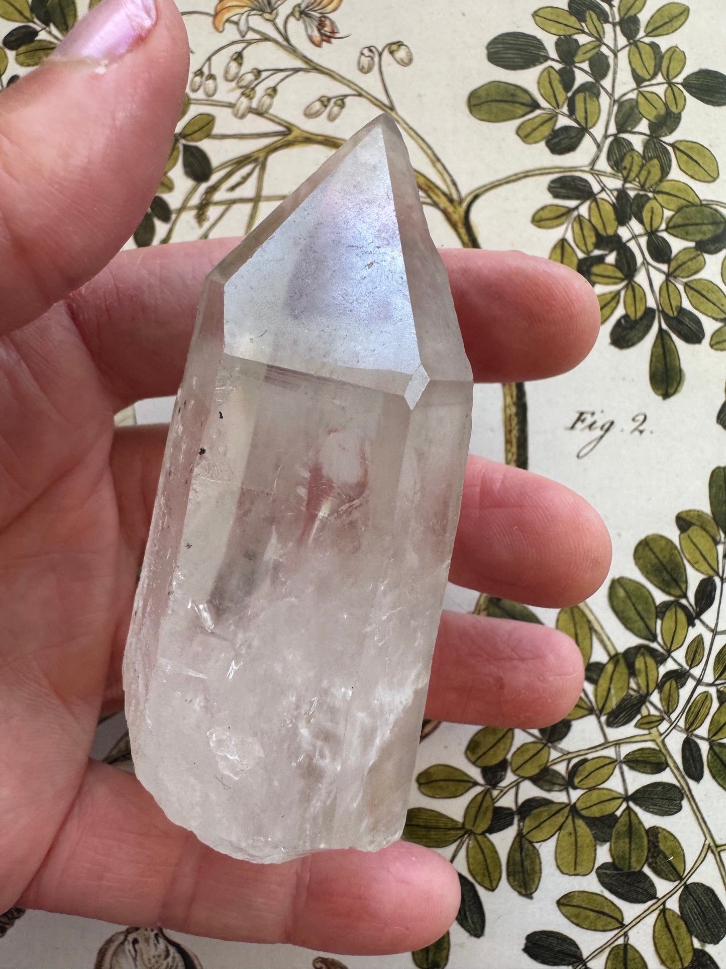 Lemurian Quartz Point 123 g Brazil - Moon Room Shop and Wellness