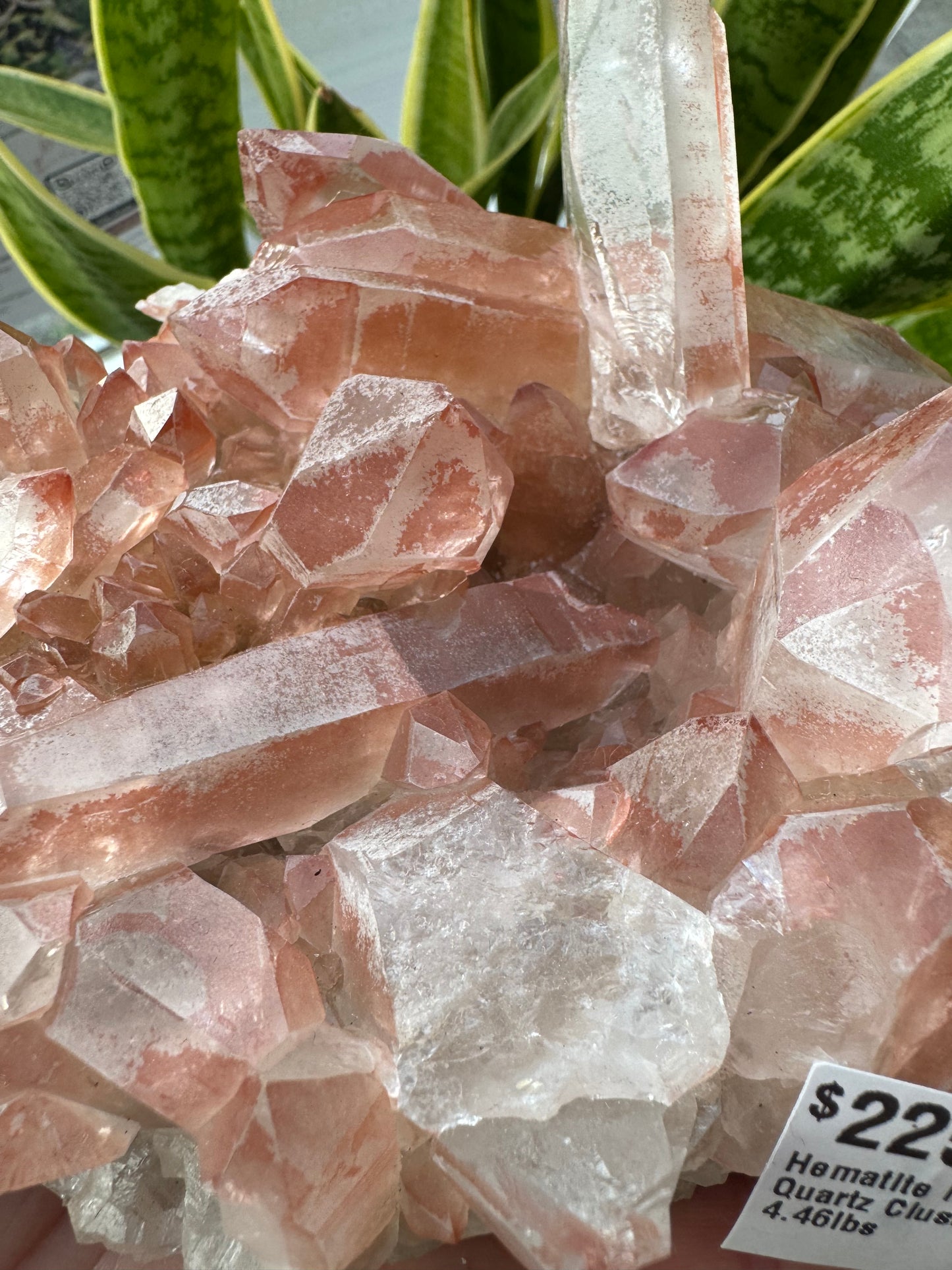 Hematite in Quartz Cluster 4.46lbs - Moon Room Shop and Wellness
