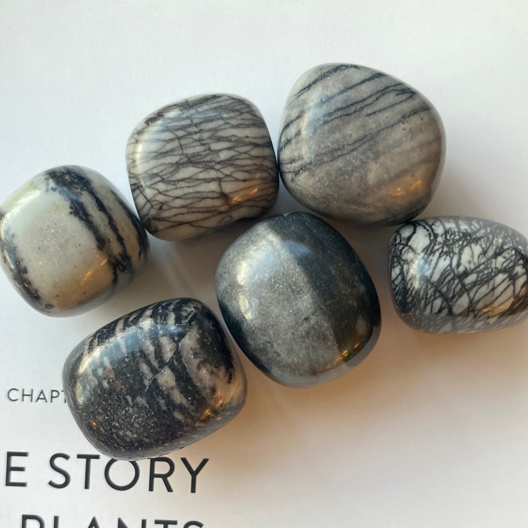 Picasso Jasper Tumbled - Moon Room Shop and Wellness