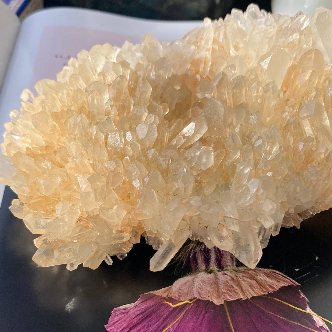 Champagne Quartz Specimen 1.31 lbs - Moon Room Shop and Wellness