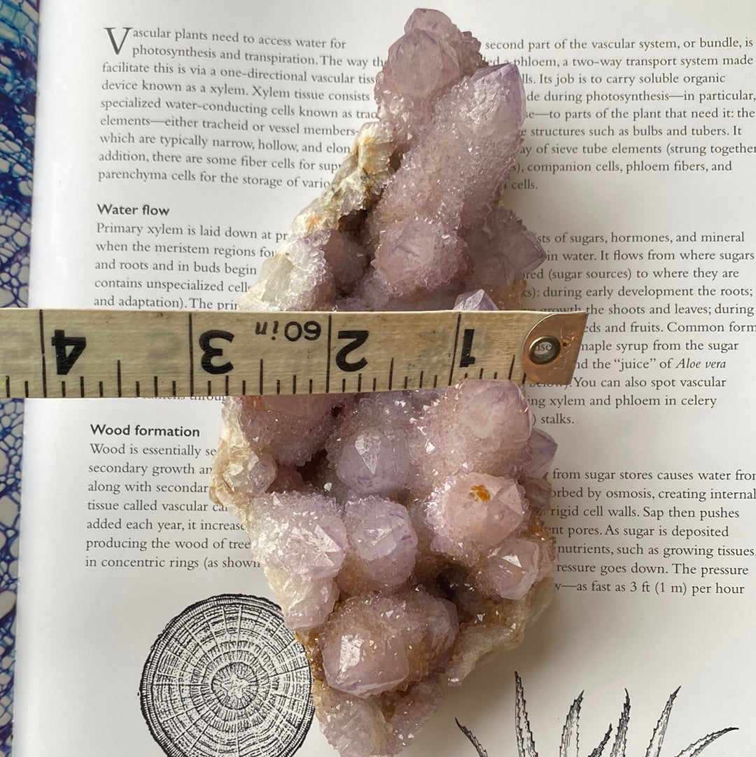 Spirit Quartz 1.08 lbs South Africa Crystal - Moon Room Shop and Wellness