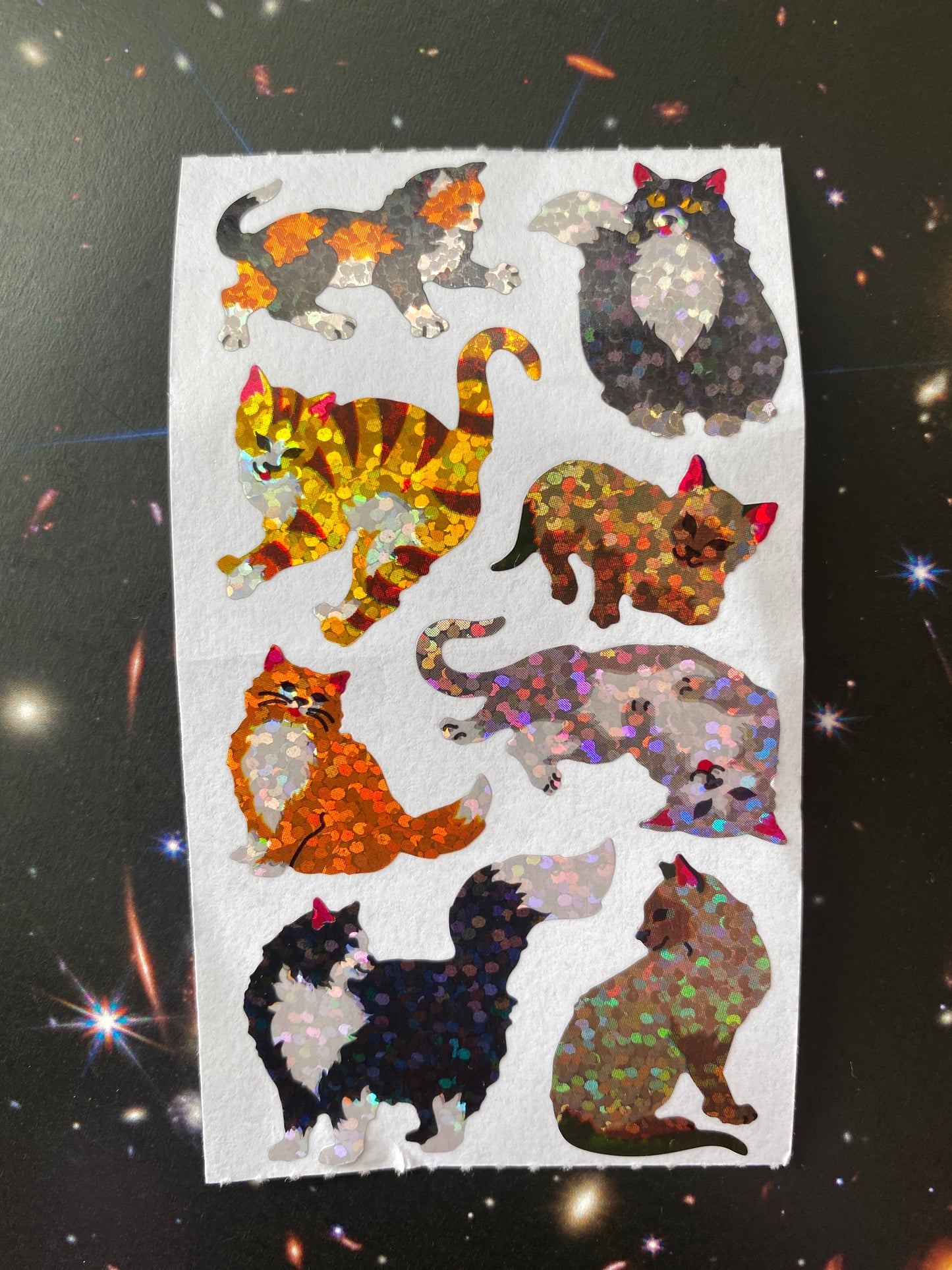 1 Cats and Kittens Sticker Sheet - Moon Room Shop and Wellness