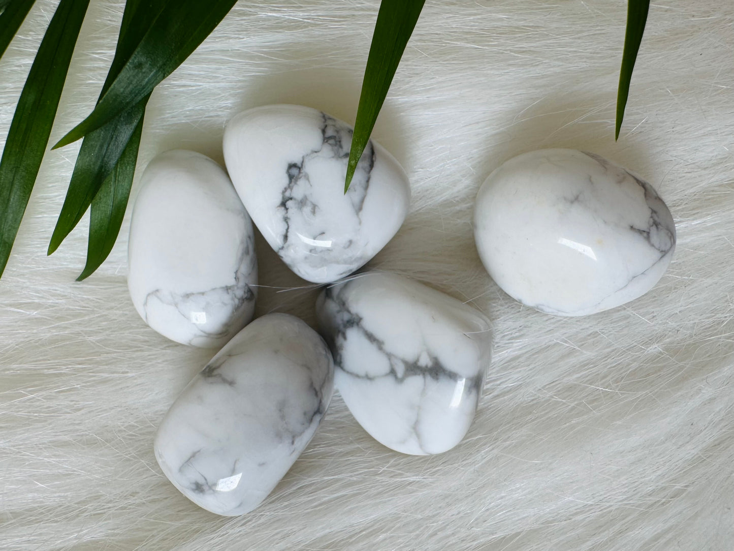 Howlite Tumbled - Moon Room Shop and Wellness