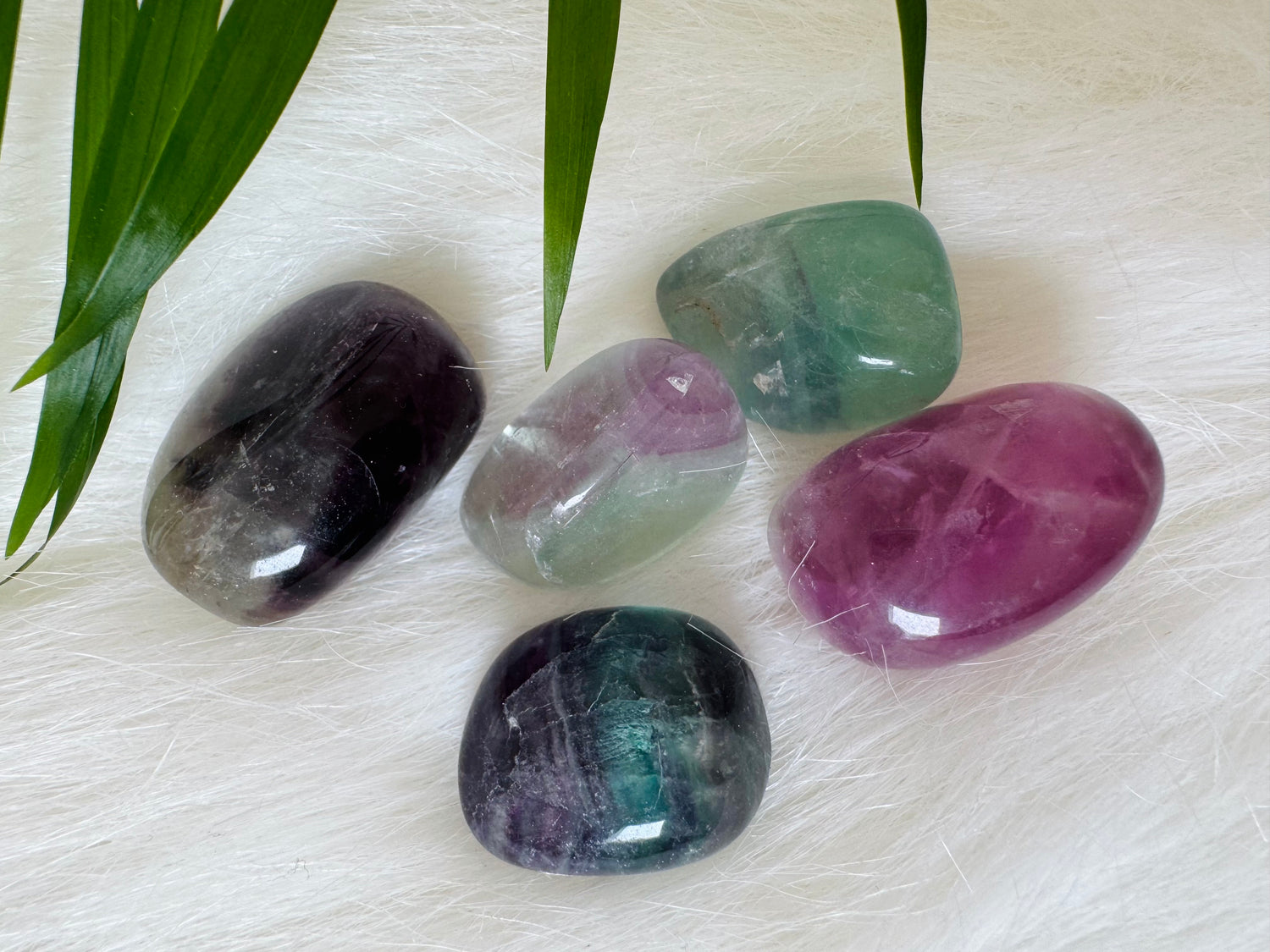 Fluorite Tumbled - Moon Room Shop and Wellness