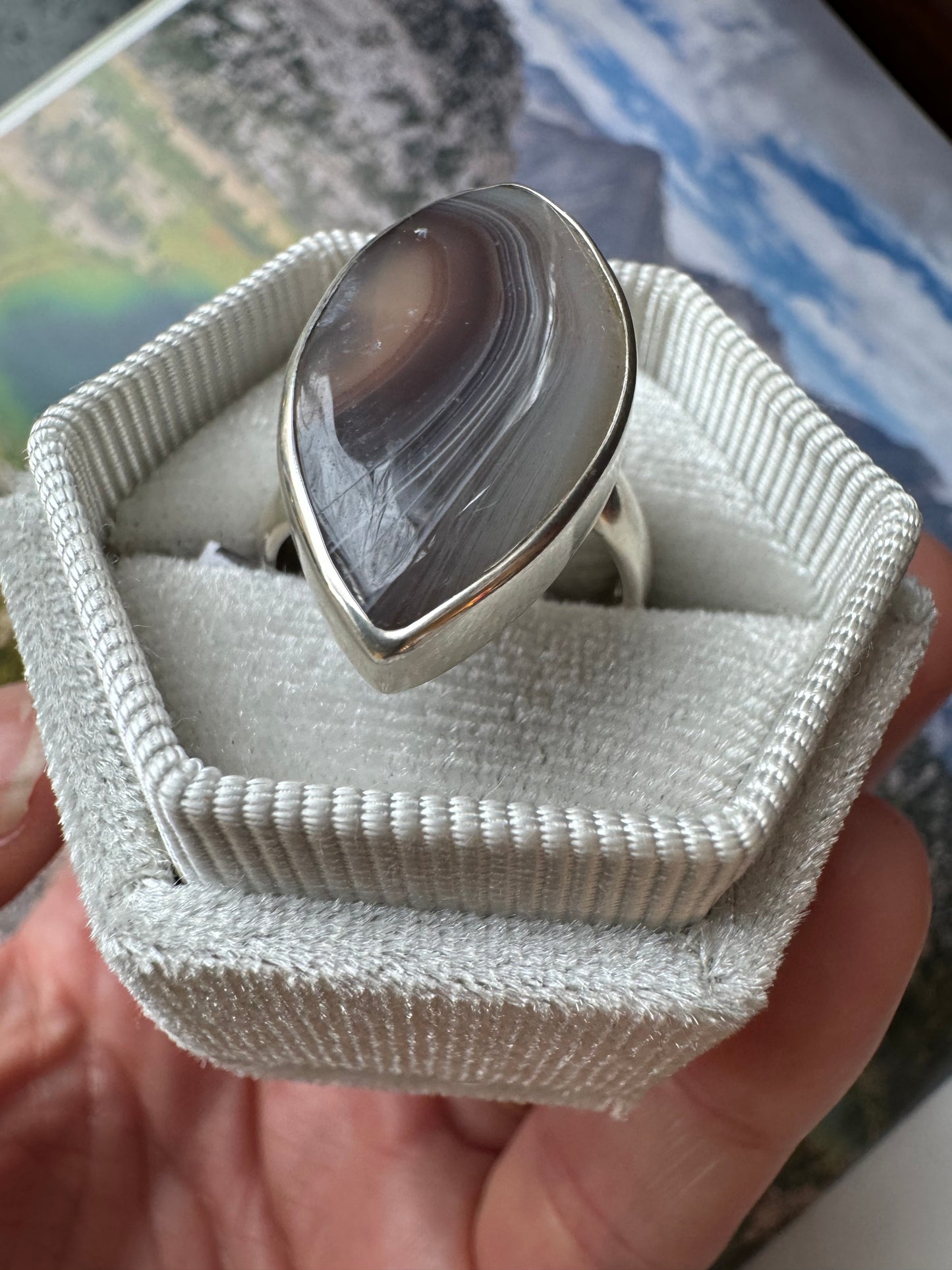 Botswana Agate Sterling Silver Ring Adjustable (A) - Moon Room Shop and Wellness
