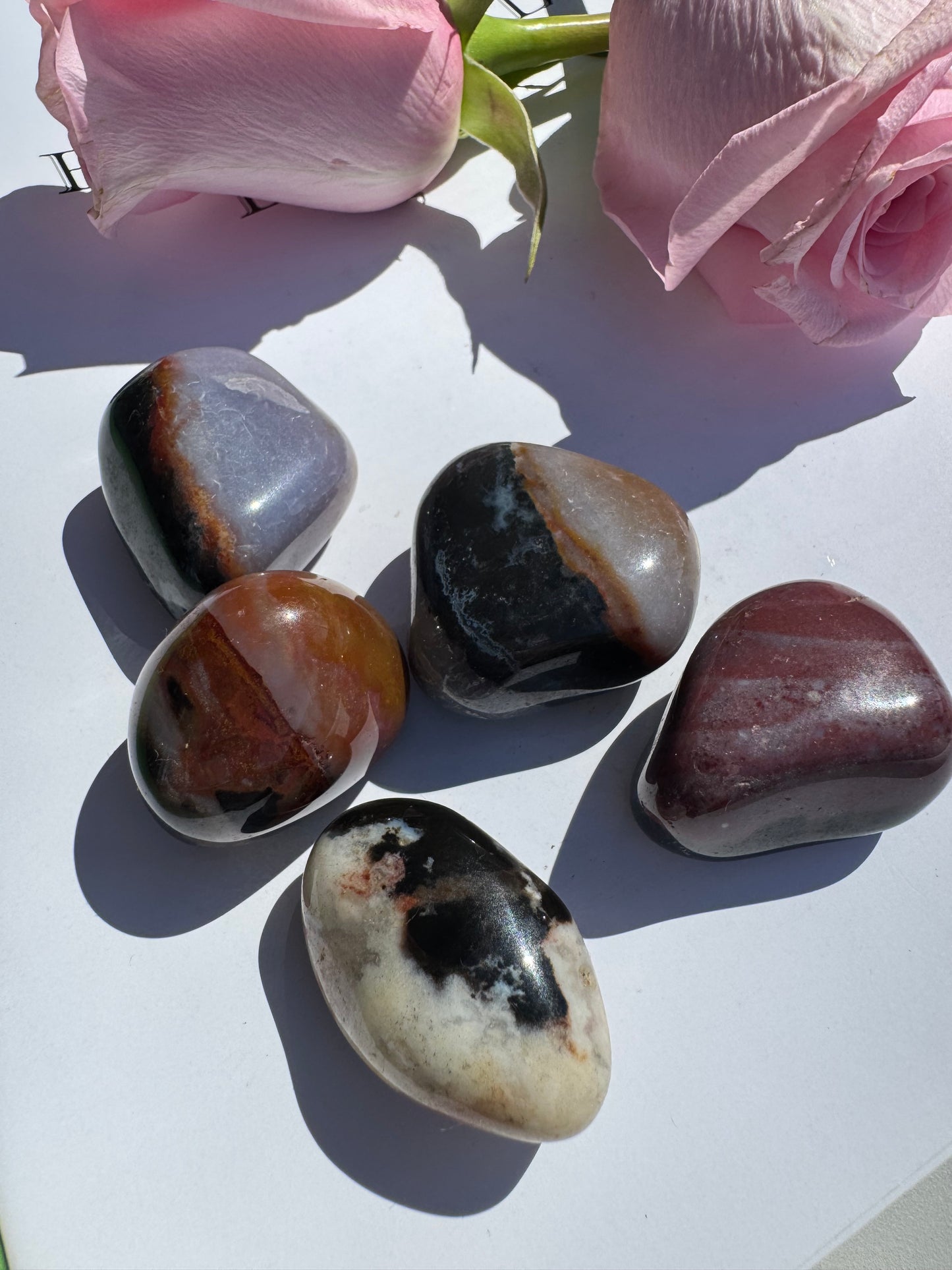 Black Sardonyx Tumbled - Moon Room Shop and Wellness