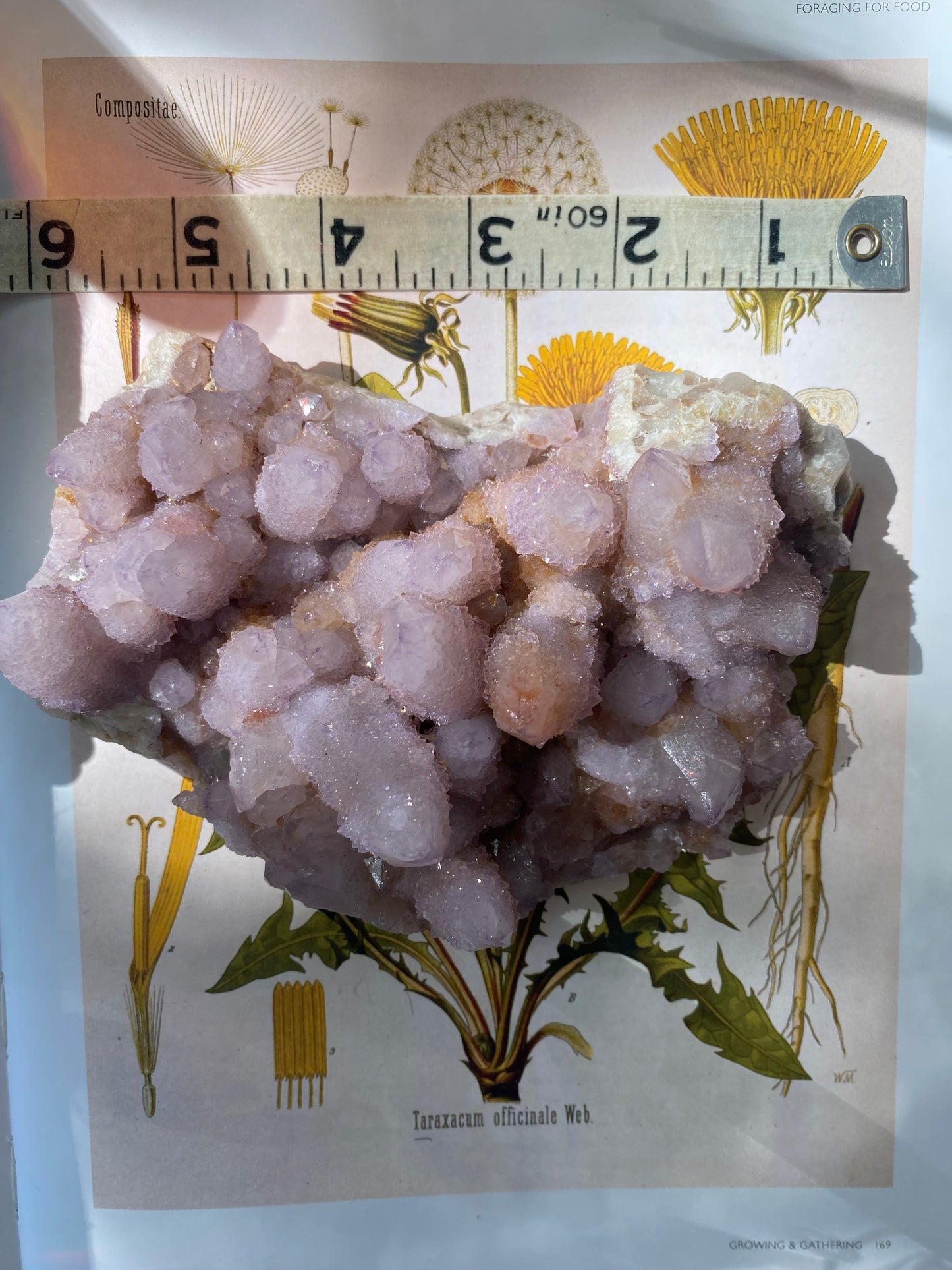 Spirit Quartz Cluster 1.28 lbs South Africa - Moon Room Shop and Wellness