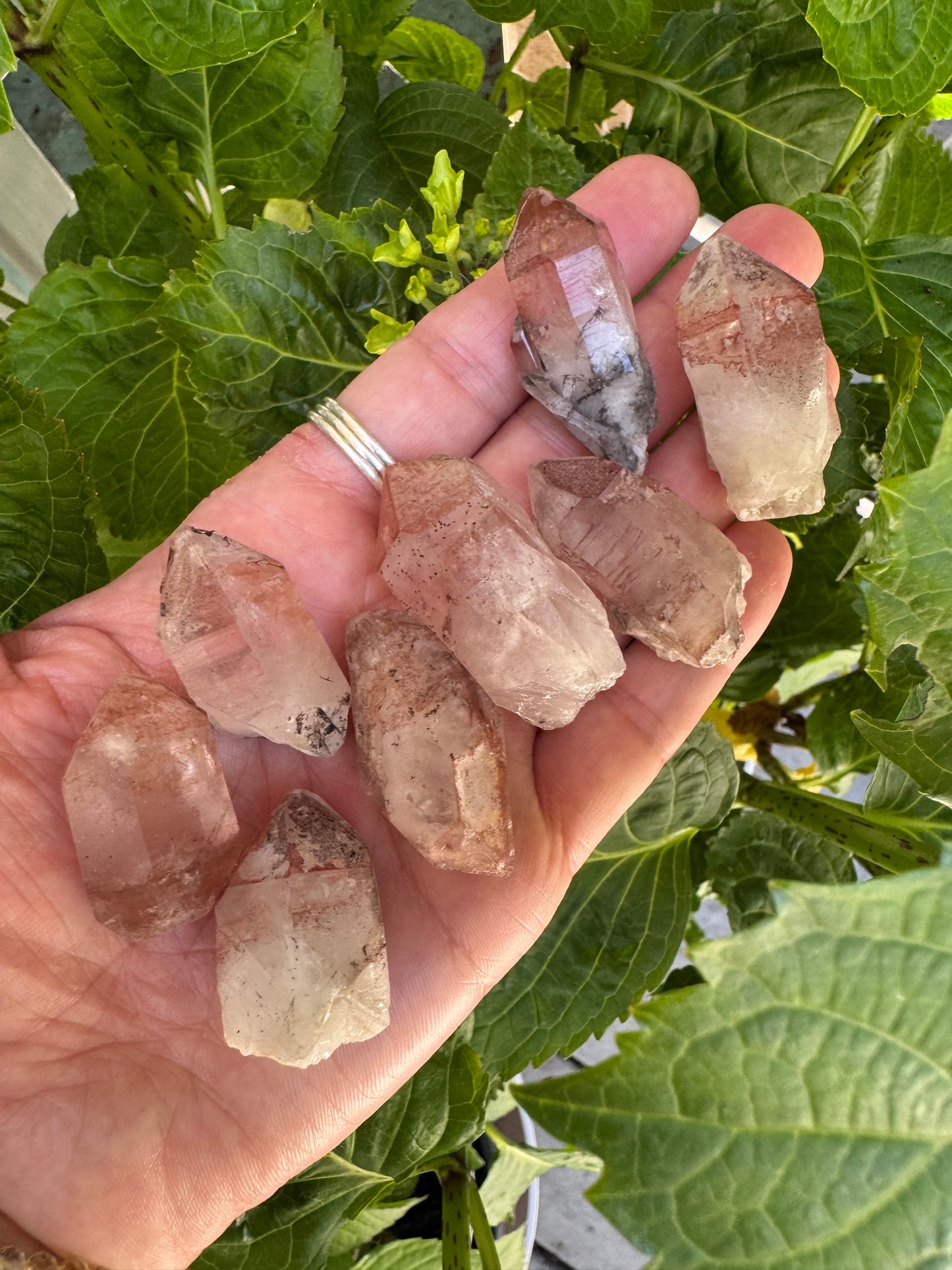 Pink Lithium Point- Brazil Beauties - Moon Room Shop and Wellness