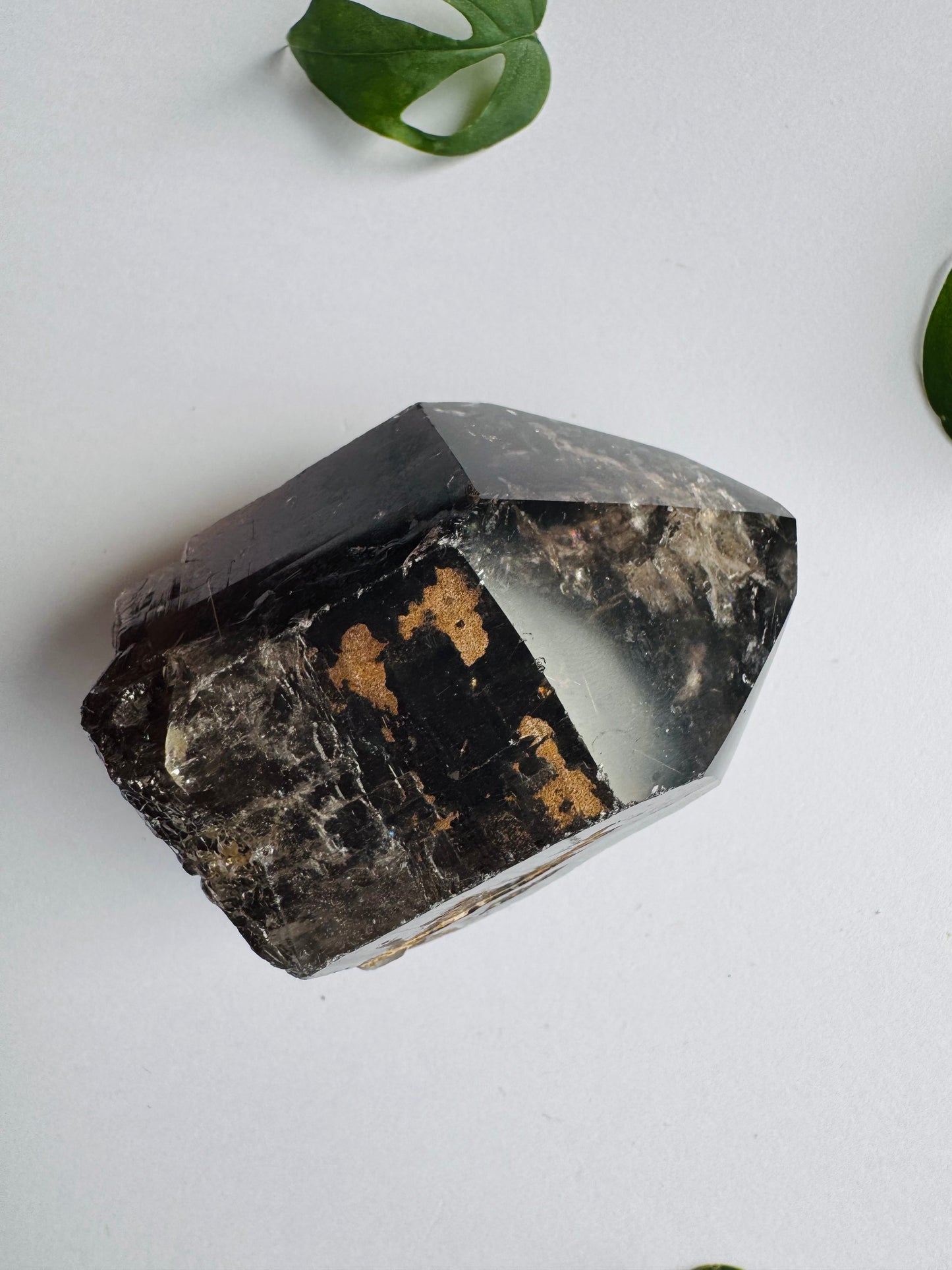 Smoky Quartz Rutilated Beauty 176 g. Brazil - Moon Room Shop and Wellness