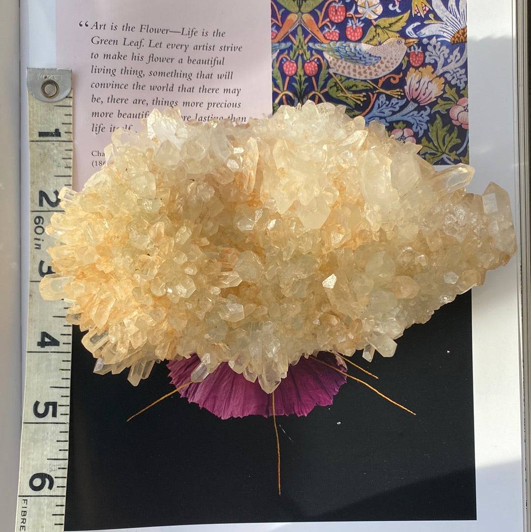 Champagne Quartz Specimen 1.31 lbs - Moon Room Shop and Wellness