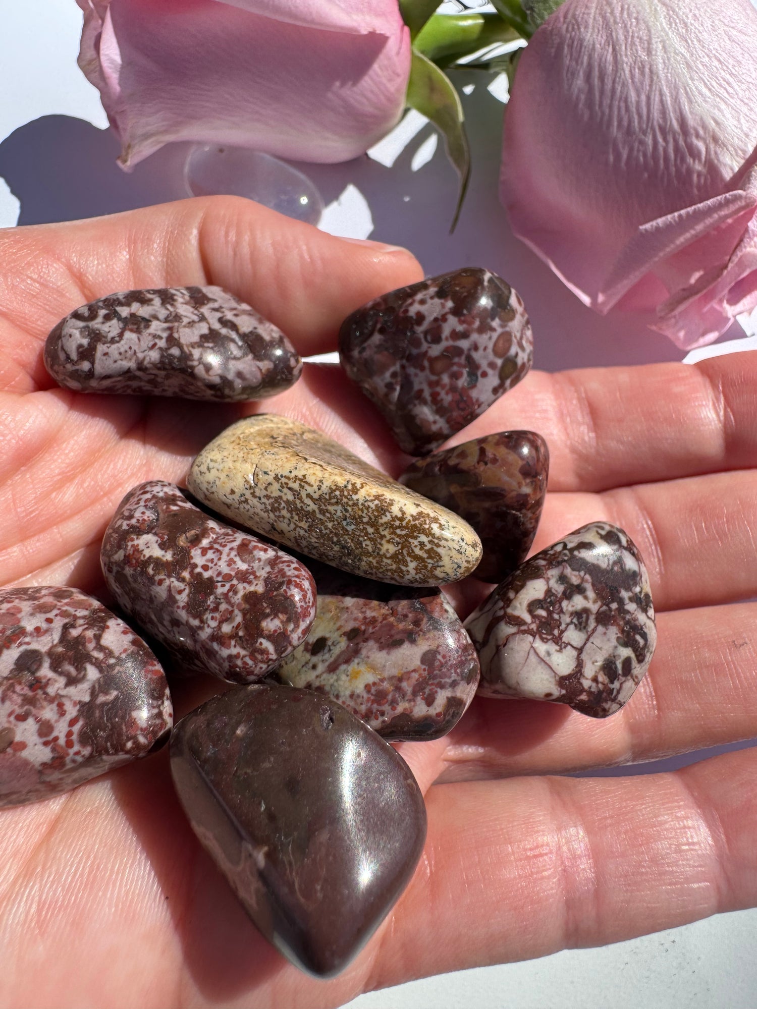 Red Leopard Skin Jasper Tumbled - Moon Room Shop and Wellness