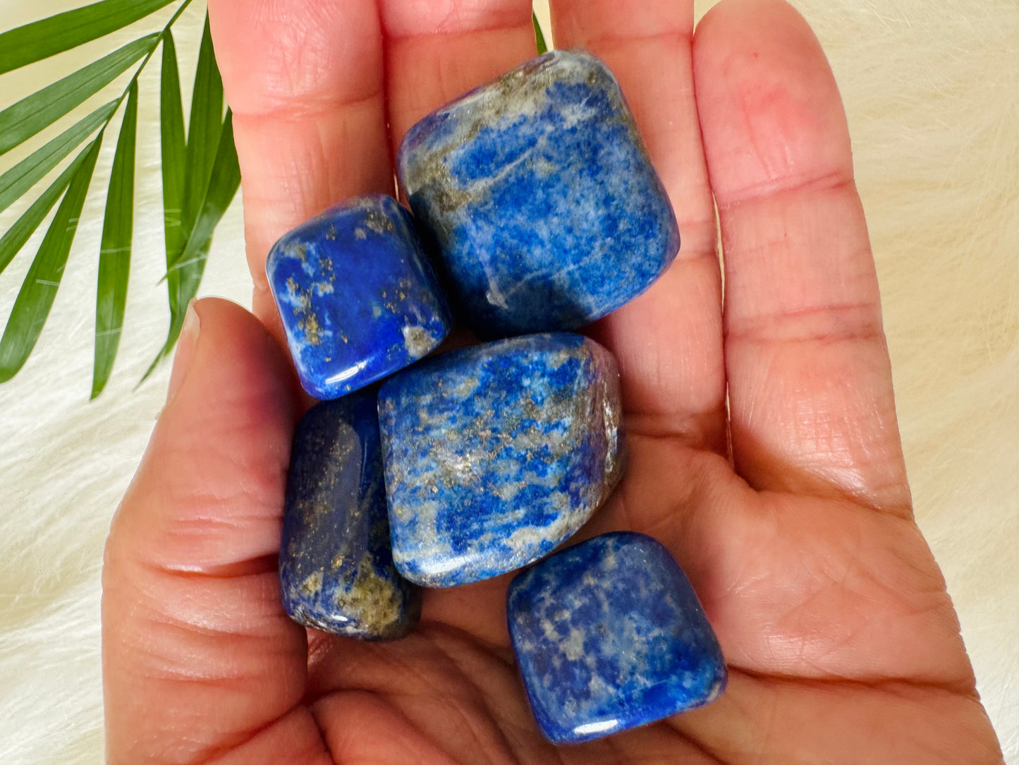 Lapis Lazuli Tumbled - Moon Room Shop and Wellness