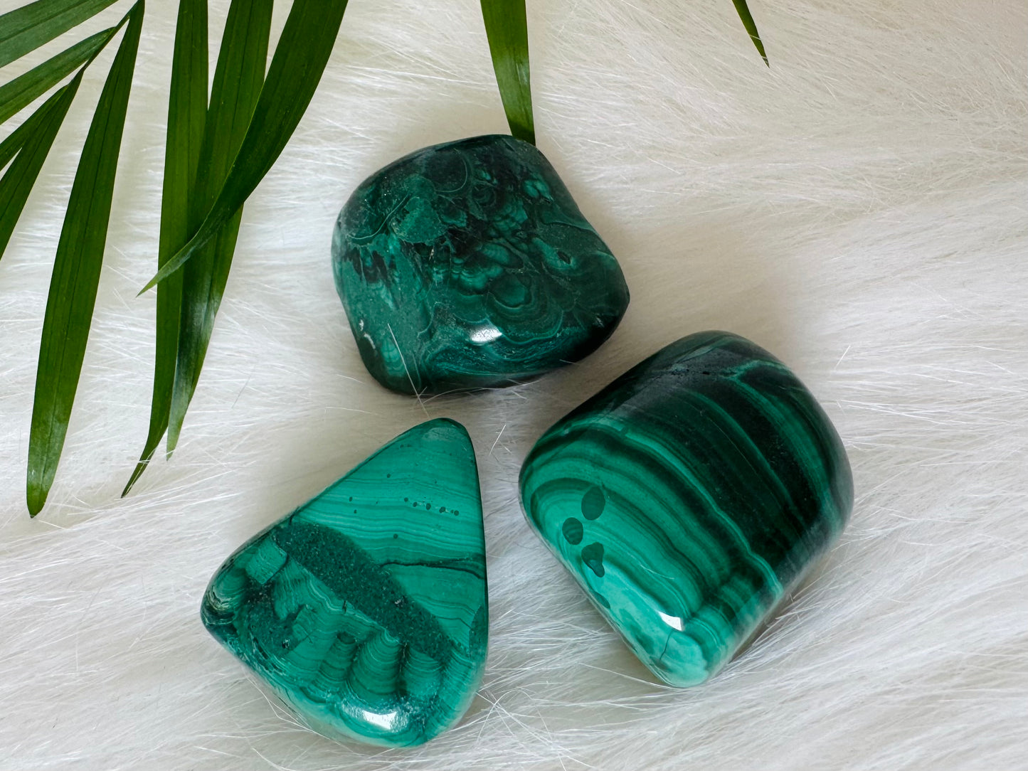 Malachite Tumbled Stone - Moon Room Shop and Wellness