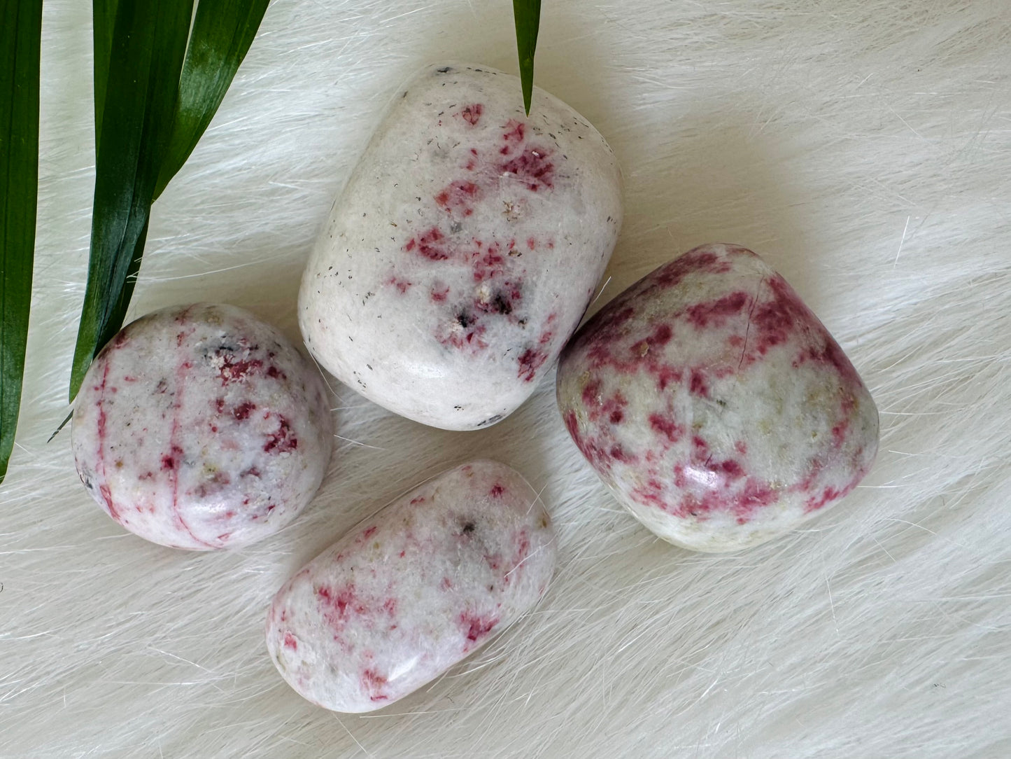 Cinnabrite Tumbled - Moon Room Shop and Wellness