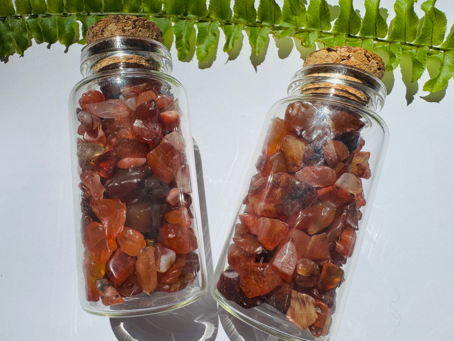 Carnelian Gem Chip 25 ml Glass Jar - Moon Room Shop and Wellness