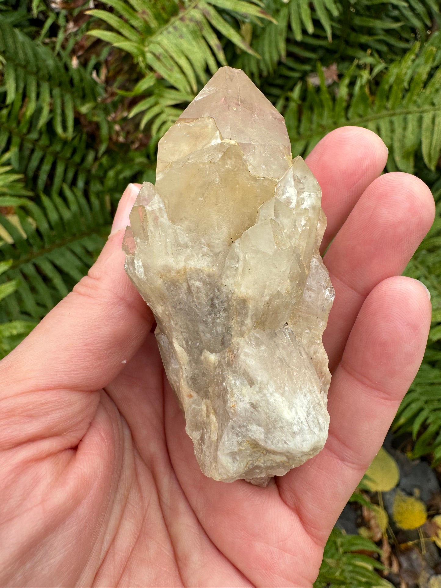 Kundalini Citrine 108 g - Moon Room Shop and Wellness