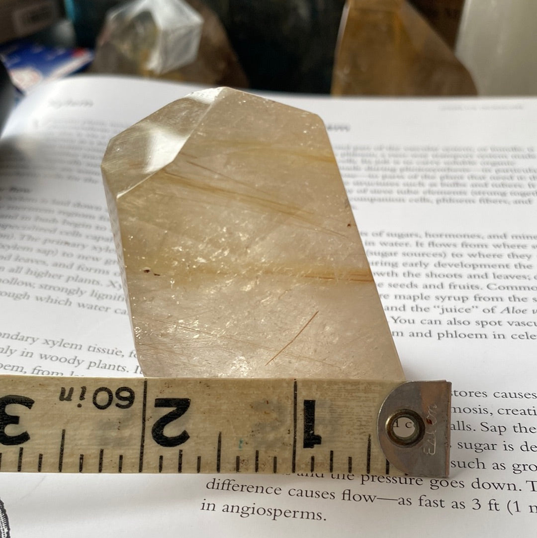 Gold Rutilated Quartz Freeform 115 g - Moon Room Shop and Wellness