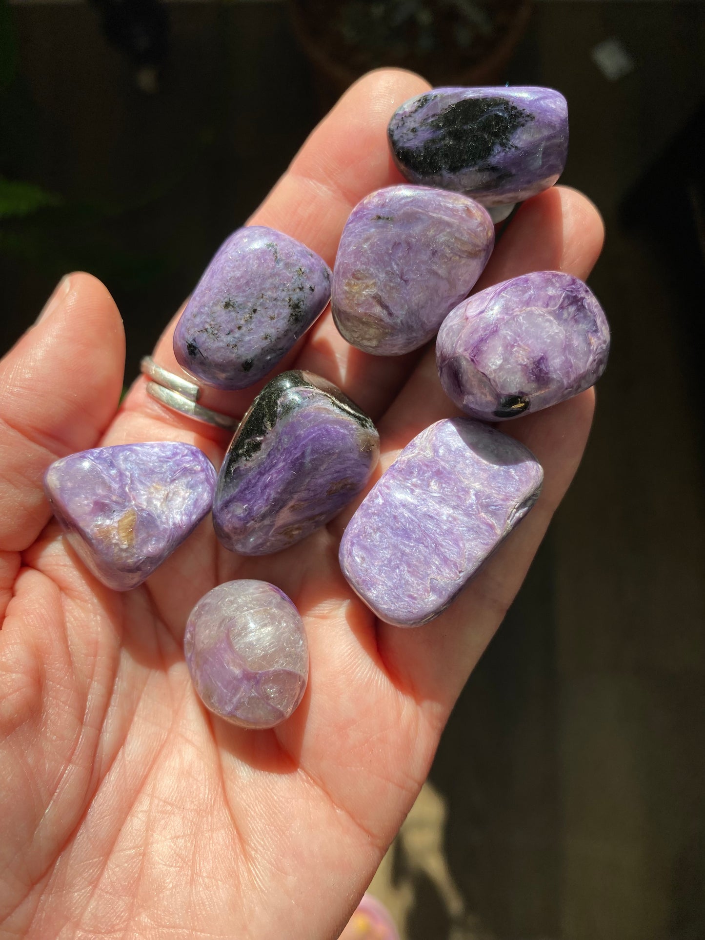 Charoite Tumbled  -Russia - Moon Room Shop and Wellness