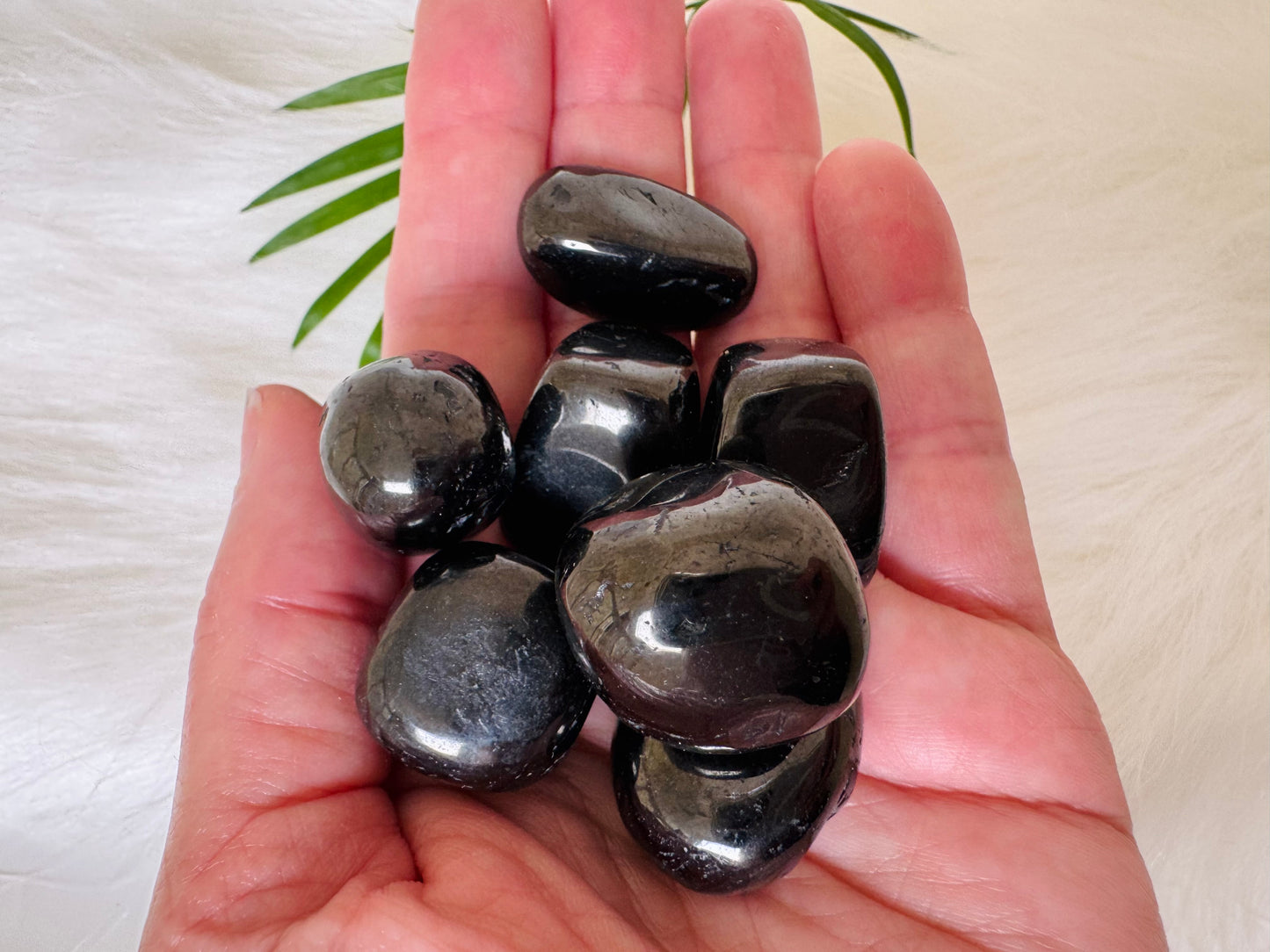 Jet Rock Tumbled - Moon Room Shop and Wellness
