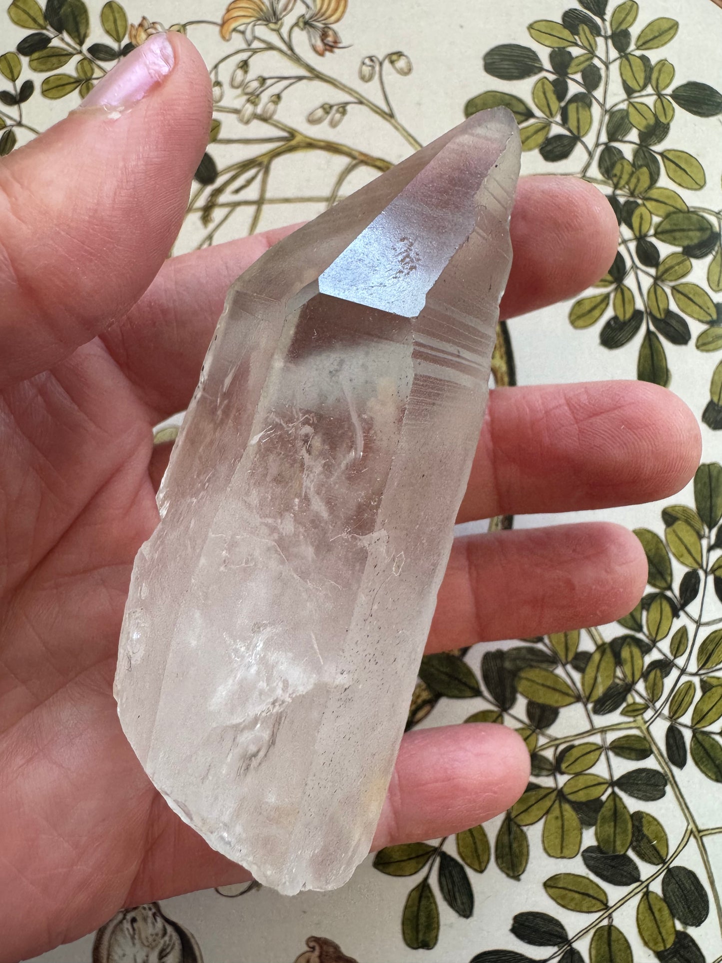 Lemurian Quartz Point 123 g Brazil - Moon Room Shop and Wellness