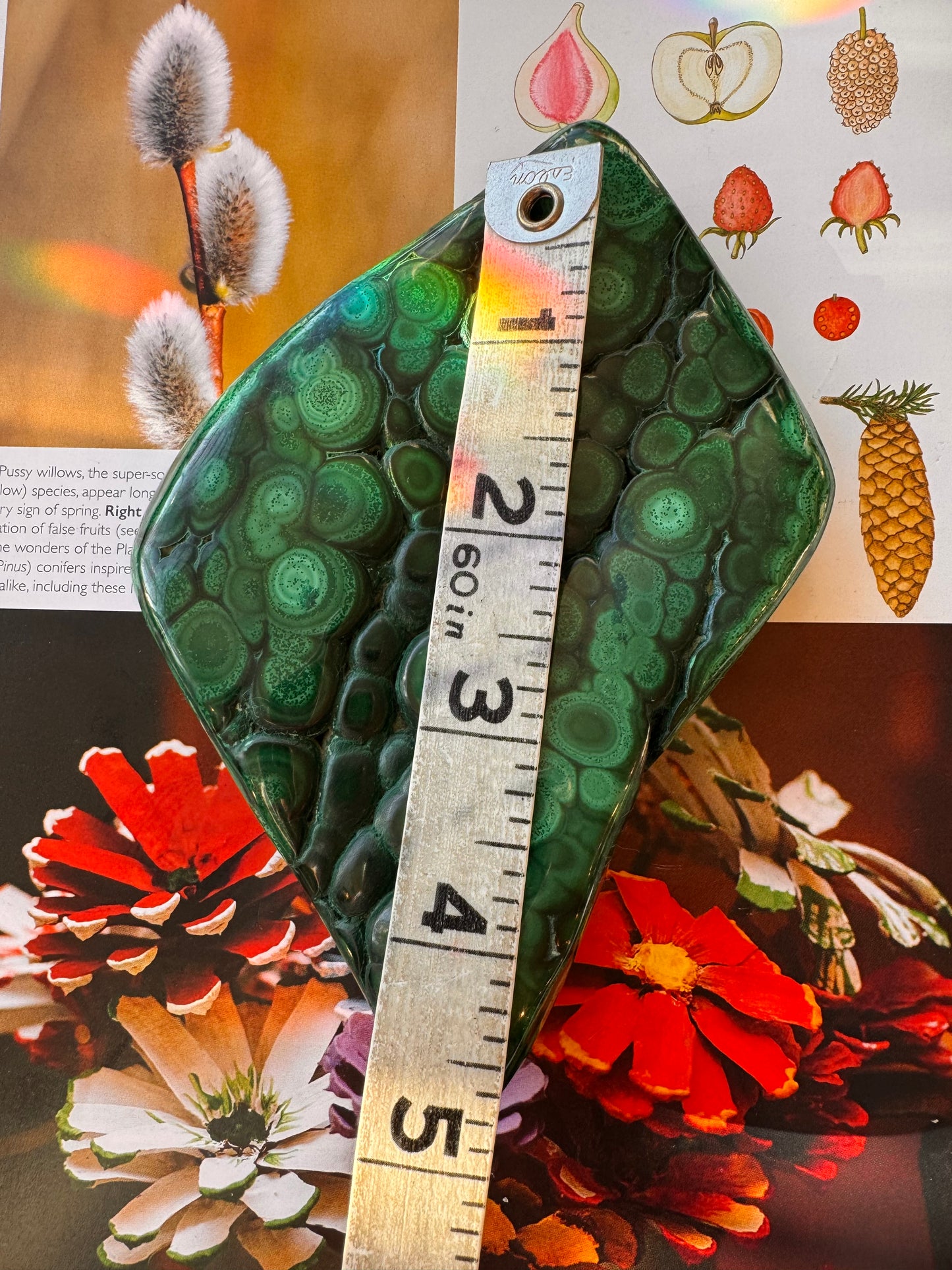 Malachite Freeform Congo 1.10 lb Polished Beauty! - Moon Room Shop and Wellness