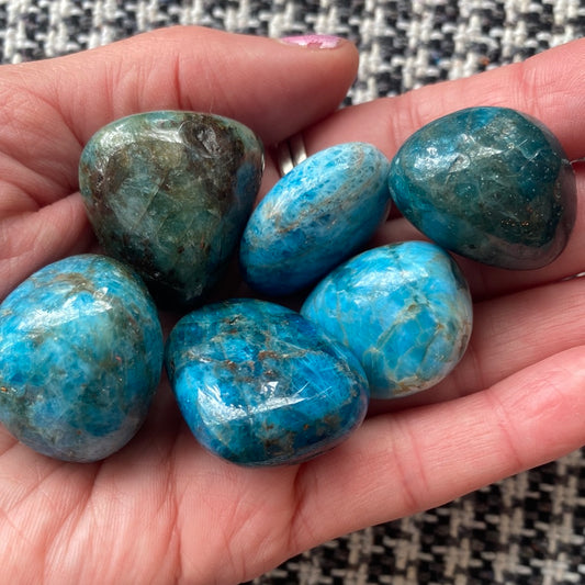 Blue Apatite Tumbled - Moon Room Shop and Wellness