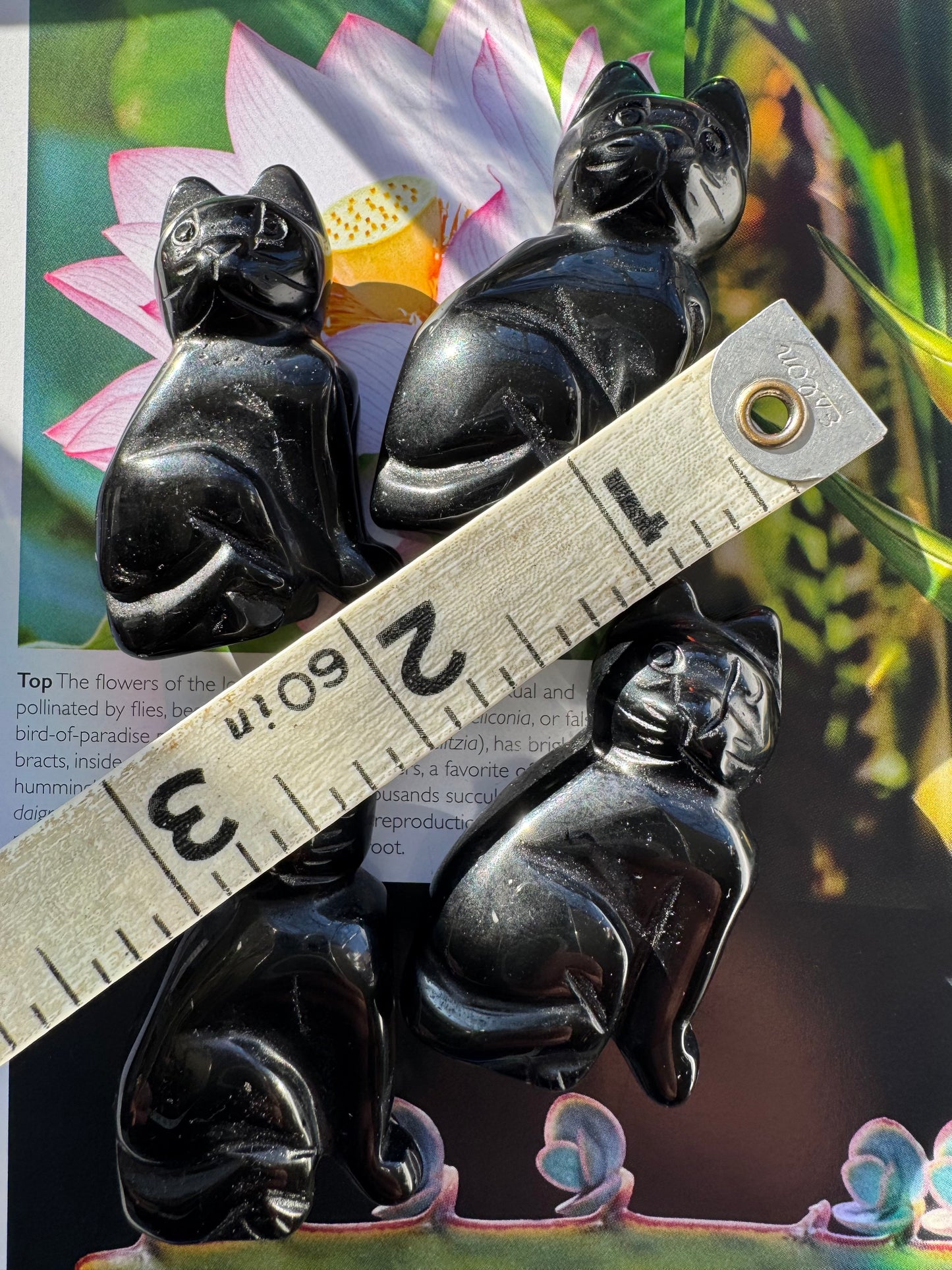 Black Onyx Cat 2” - Moon Room Shop and Wellness