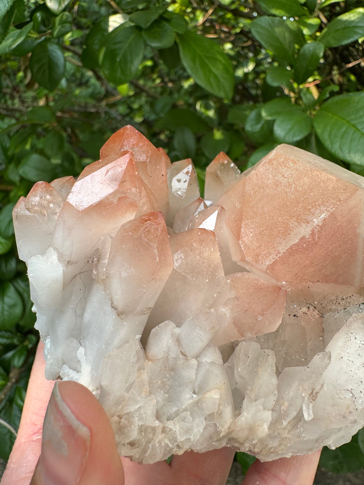 Pink Lithium Quartz Cluster 456 g - Brazil- Peaceful Beauty! - Moon Room Shop and Wellness